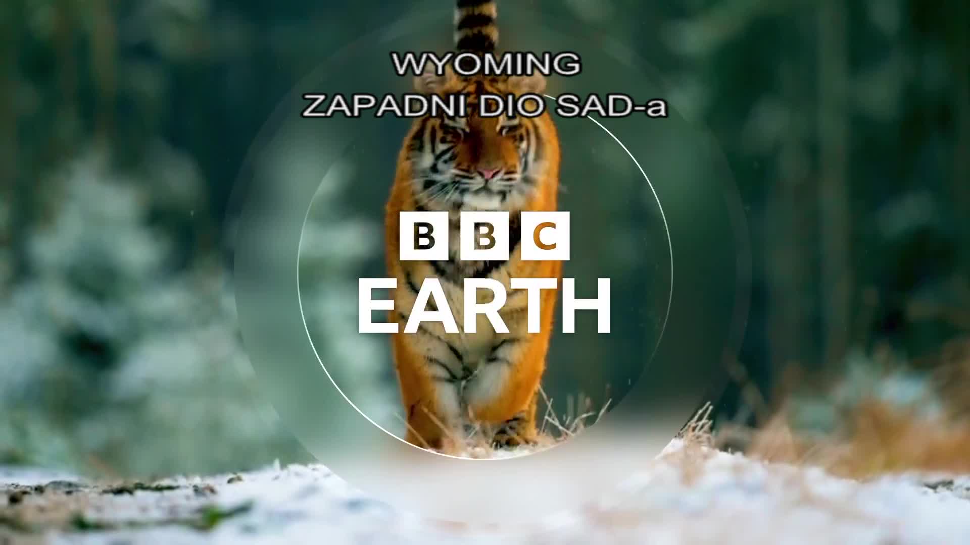 BBCEarth