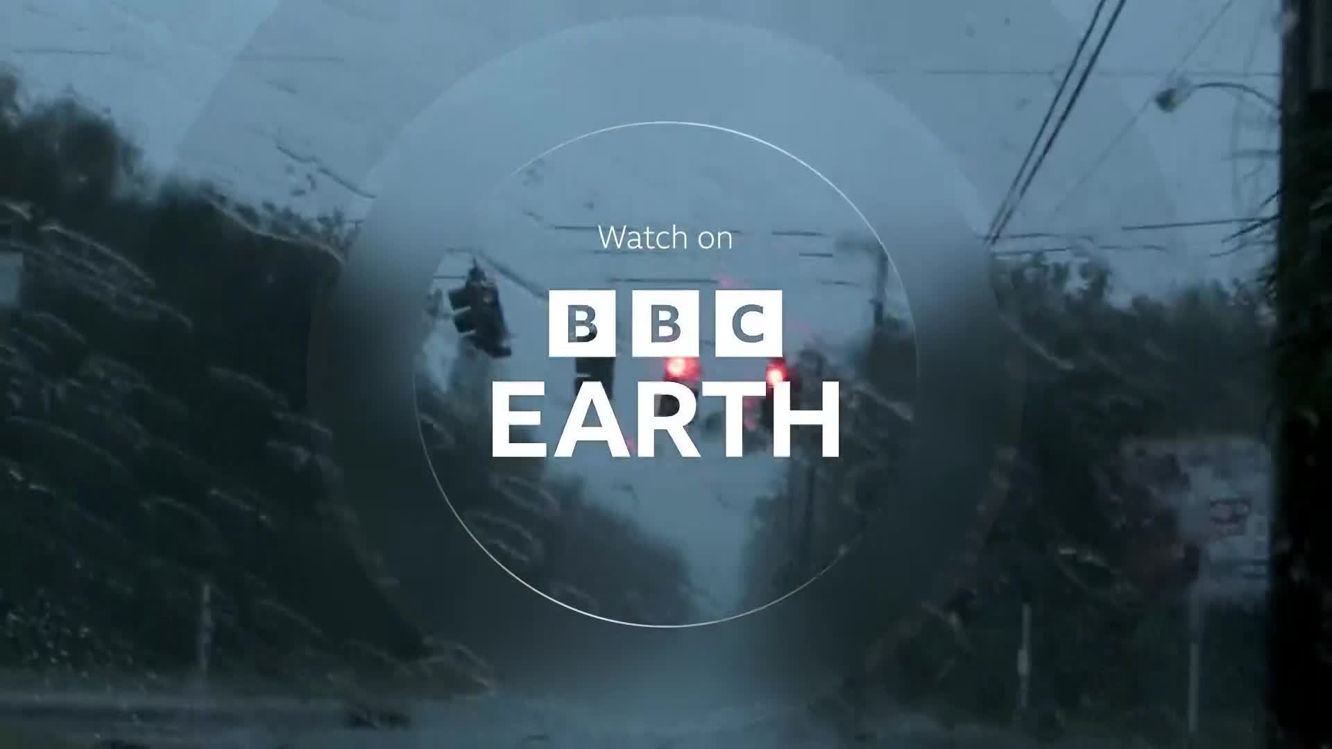 BBCEarth