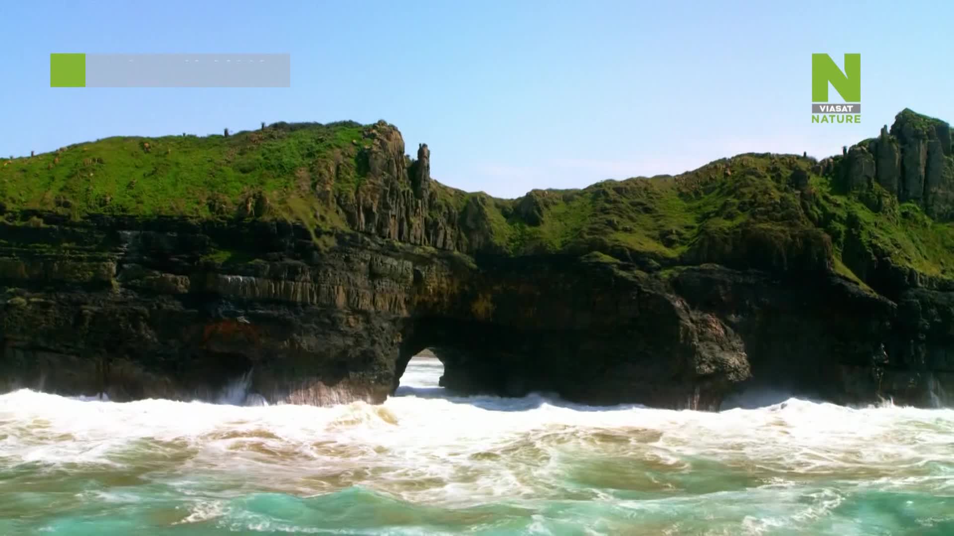 ViasatNature