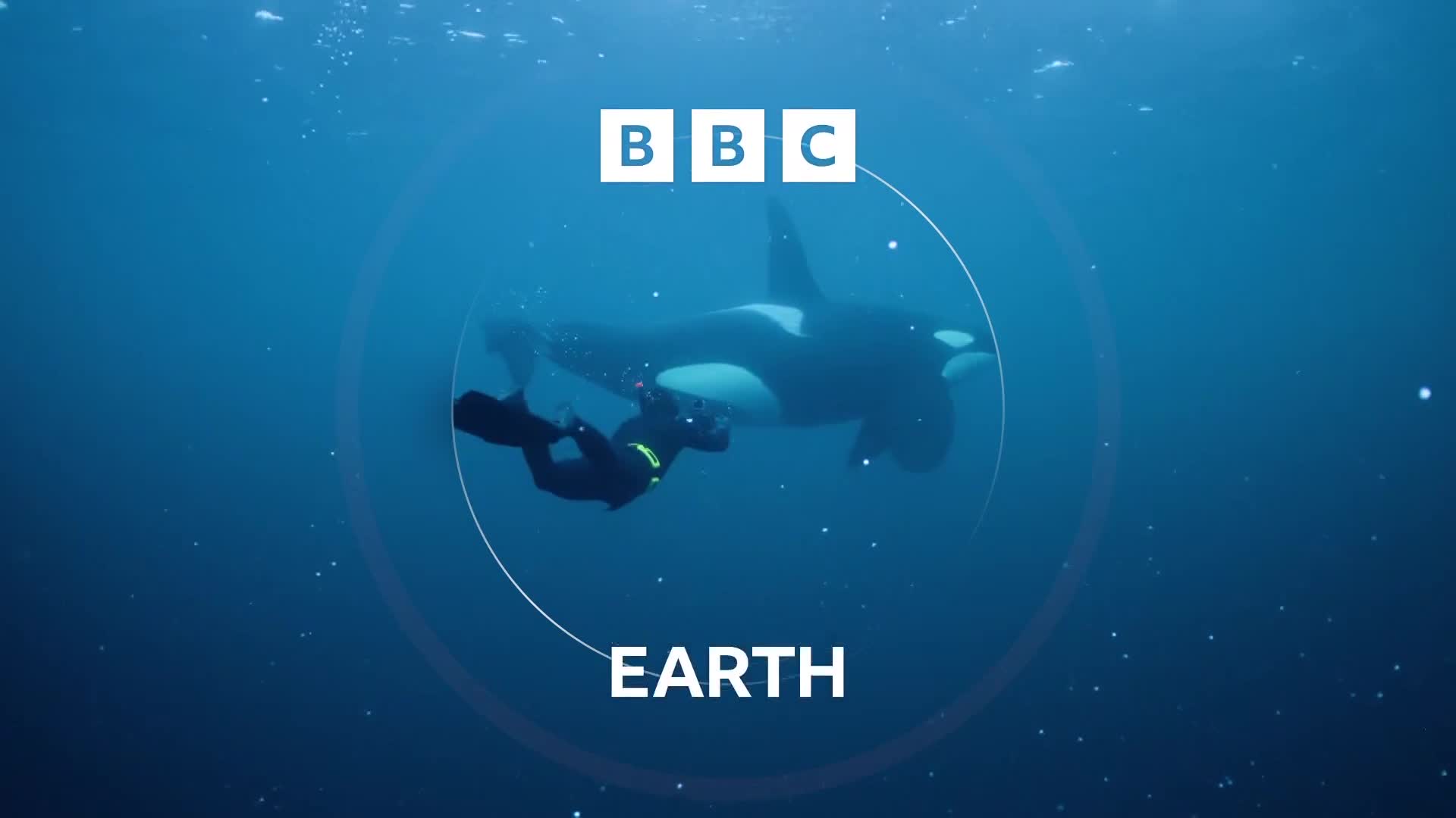 BBCEarth