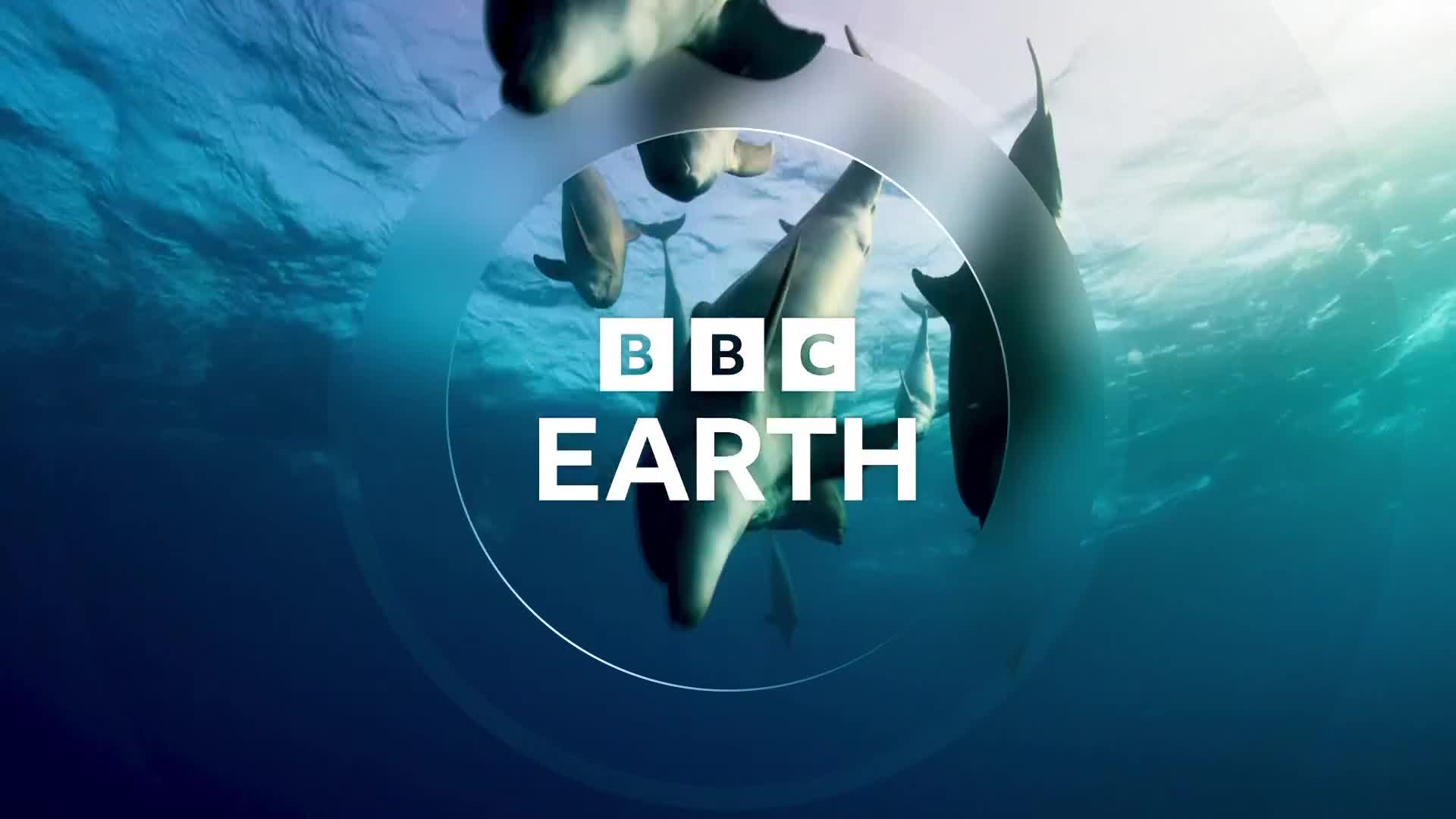 BBCEarth