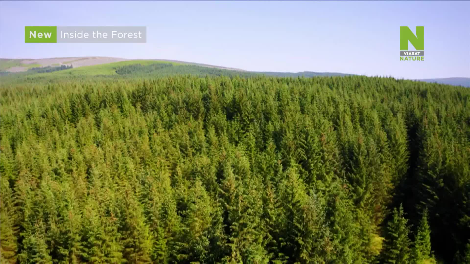 ViasatNature