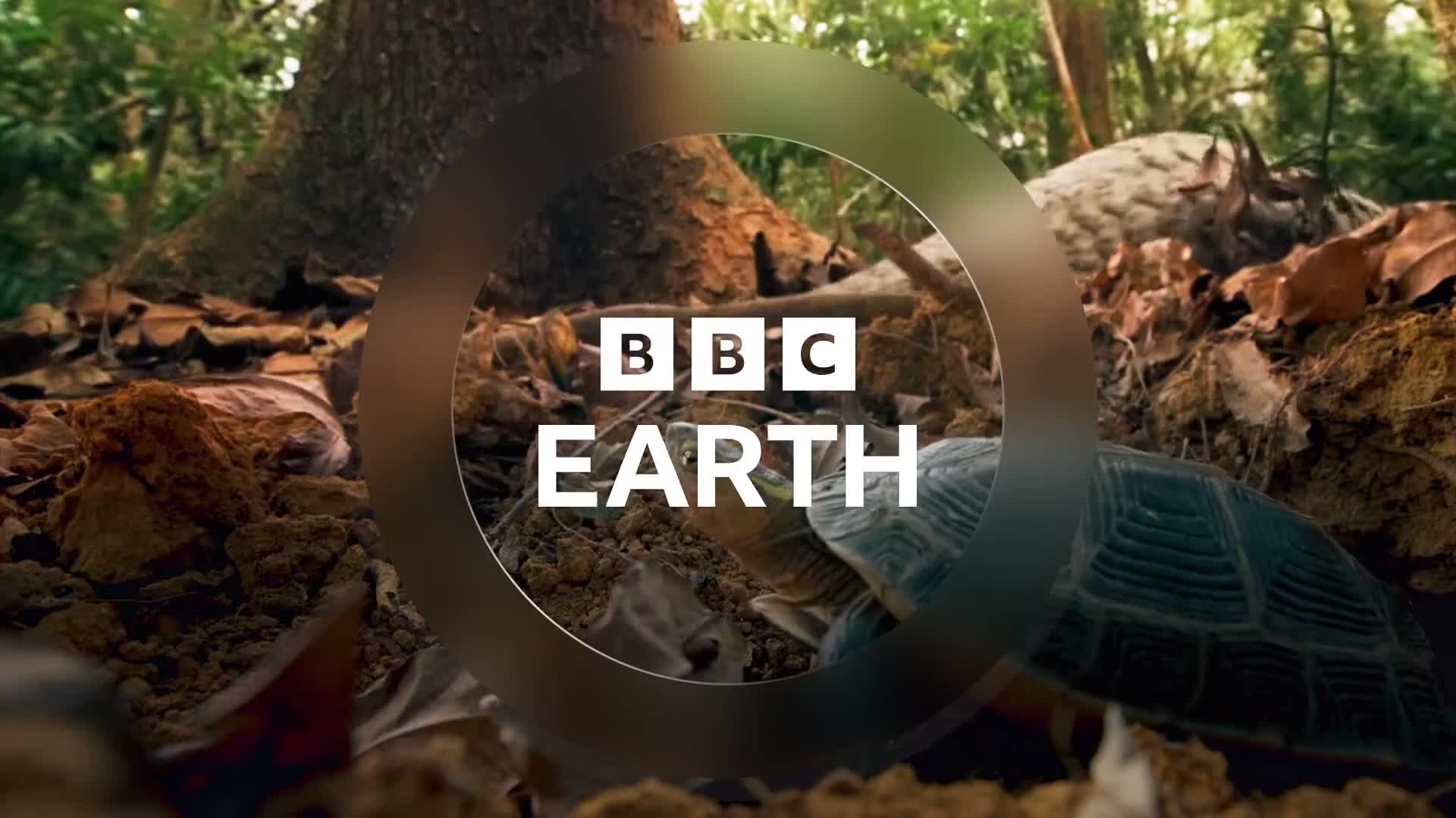 BBCEarth