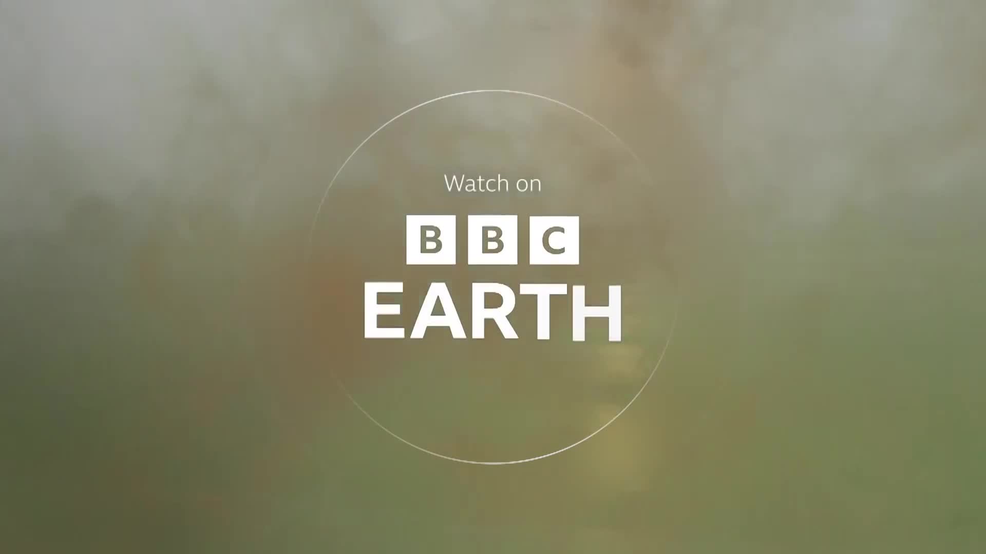 BBCEarth