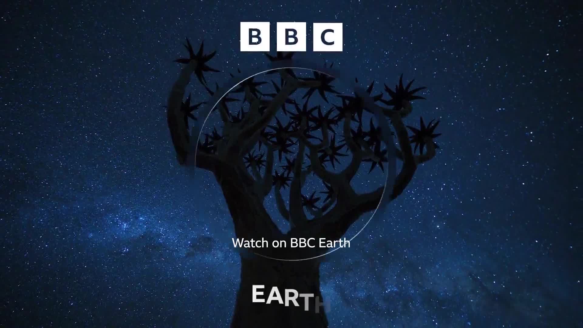 BBCEarth