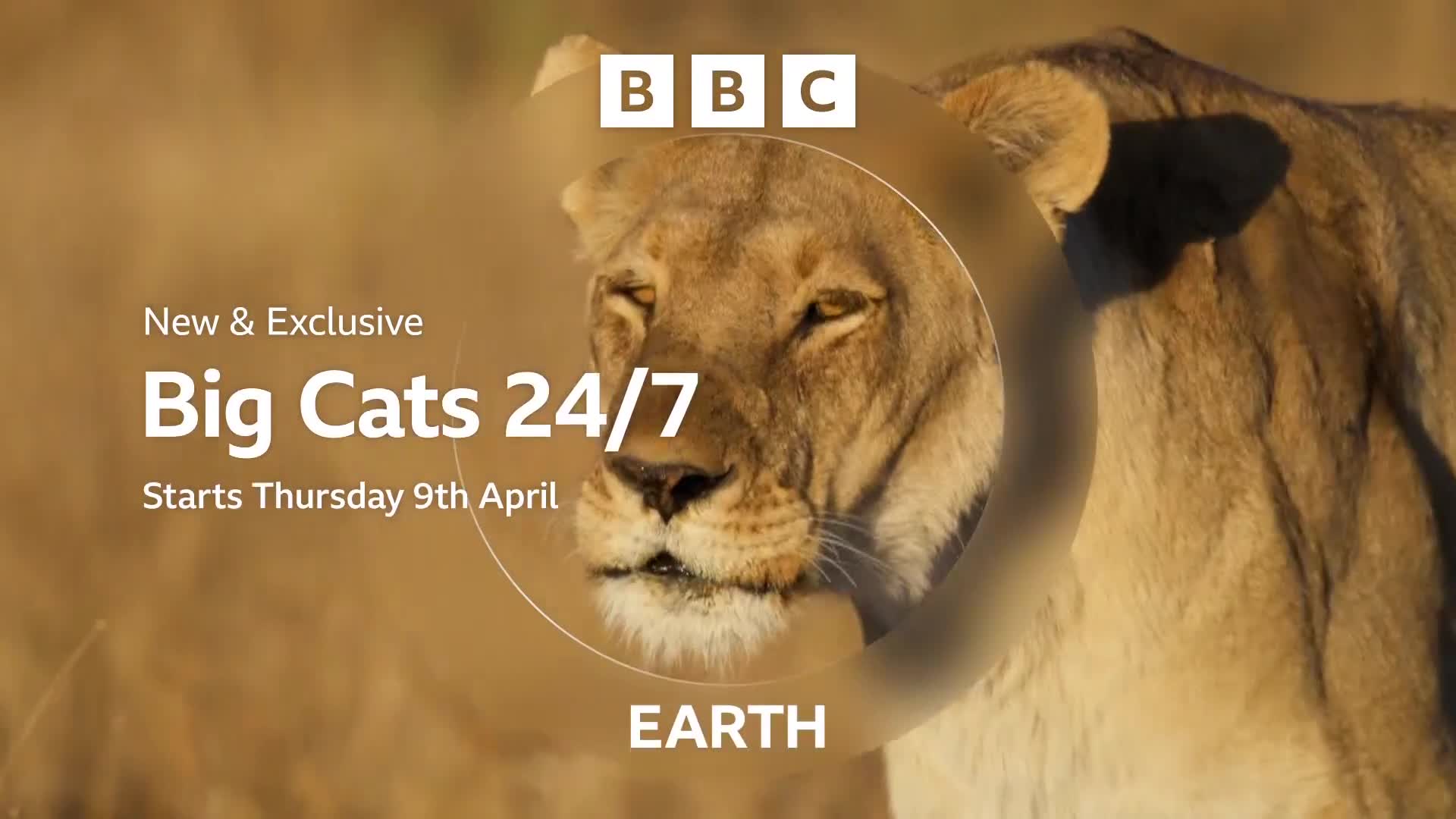 BBCEarth