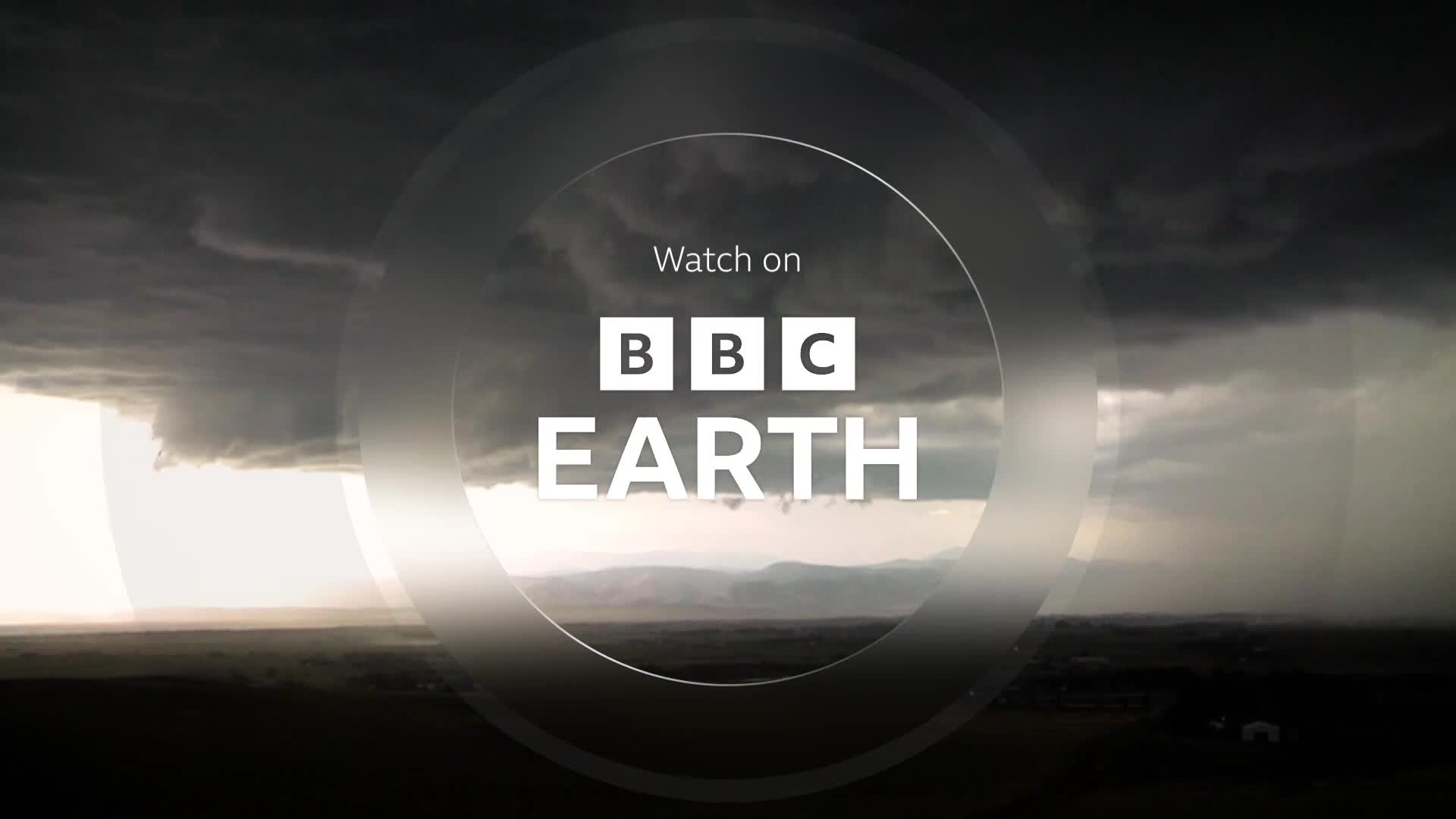BBCEarth
