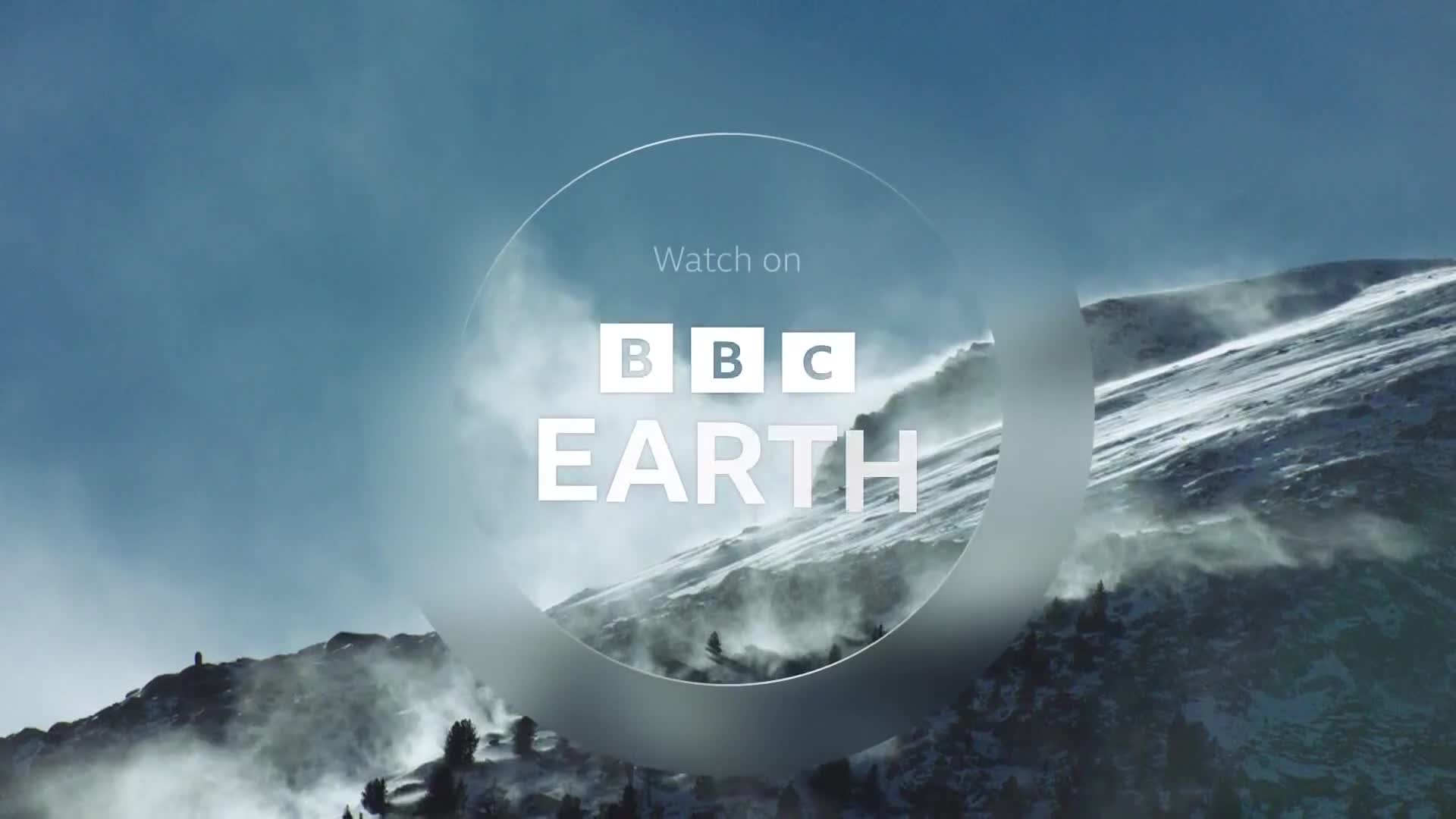 BBCEarth