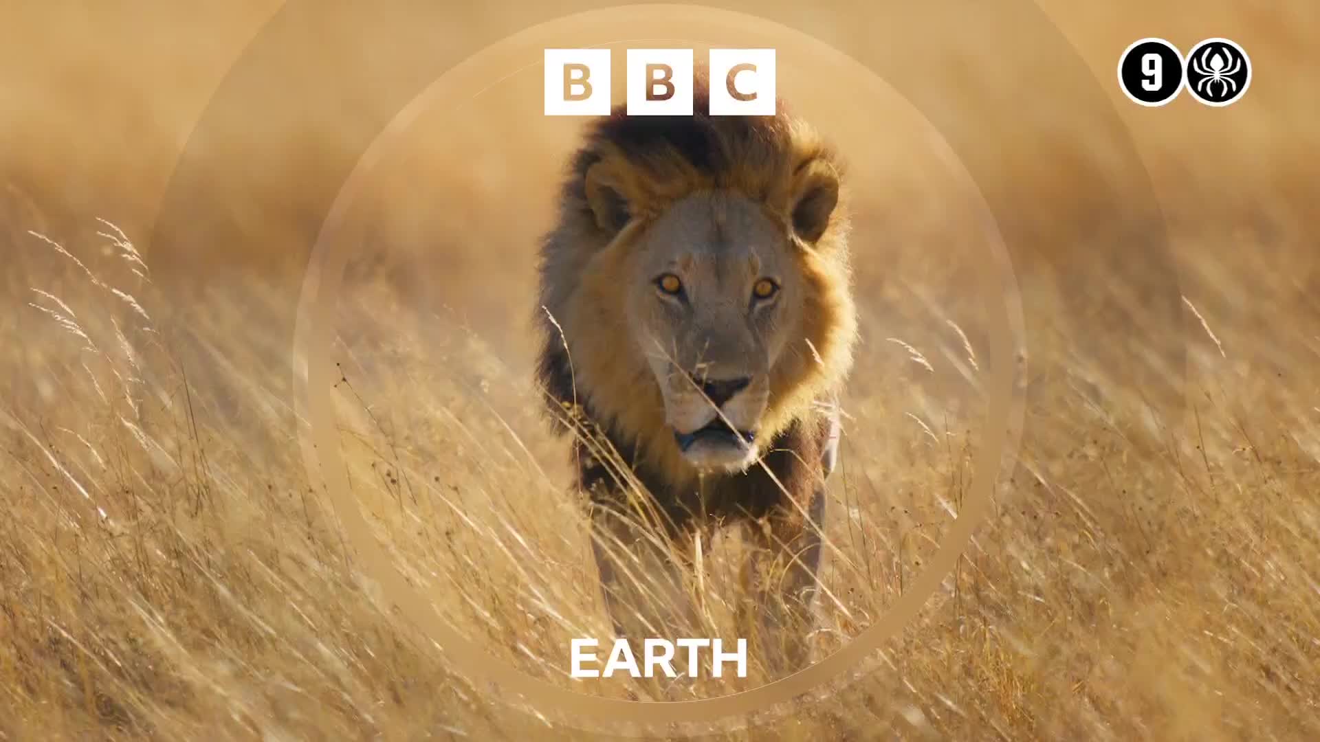 BBCEarth
