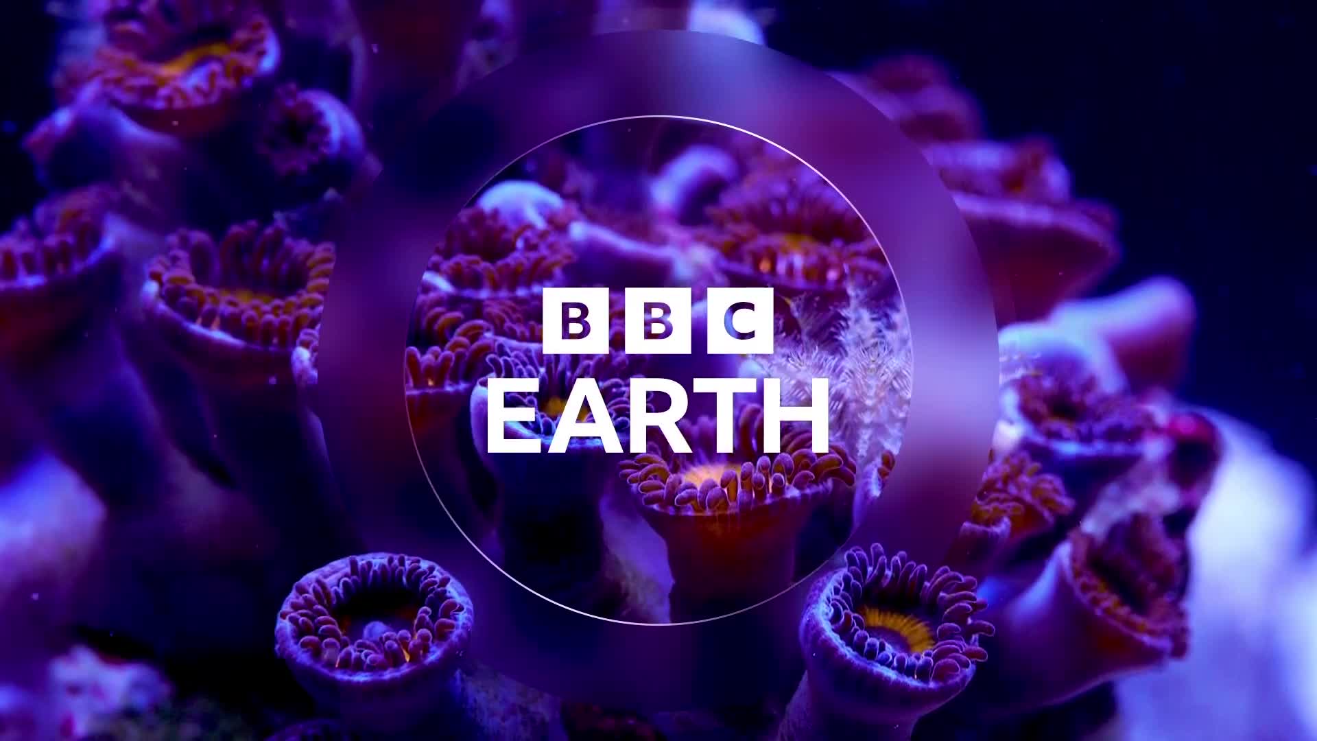 BBCEarth