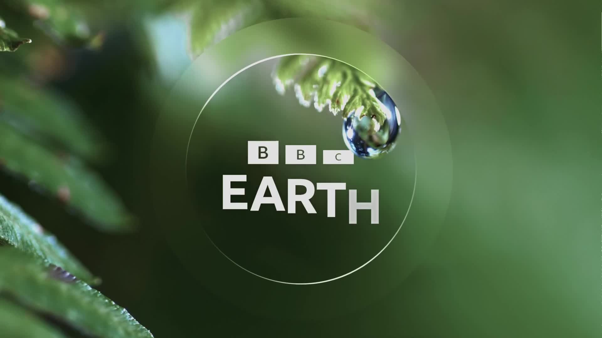 BBCEarth