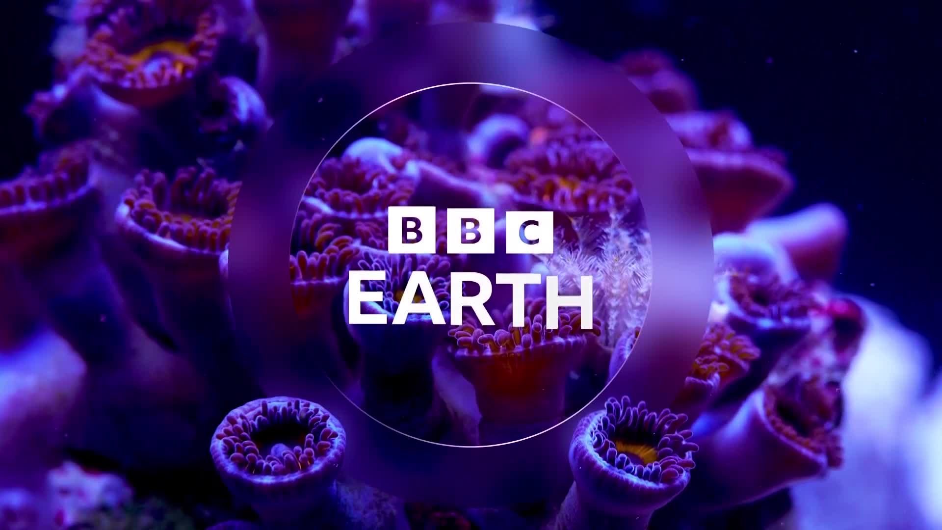BBCEarth