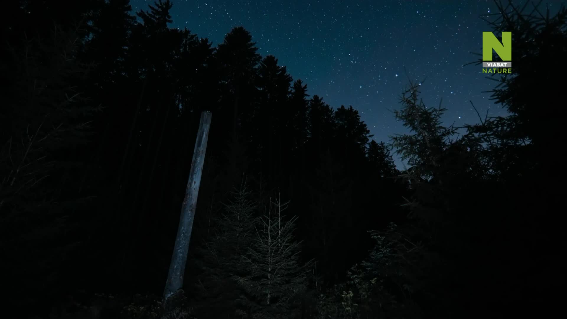 ViasatNature