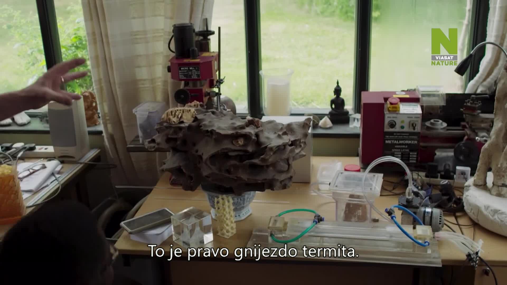 ViasatNature