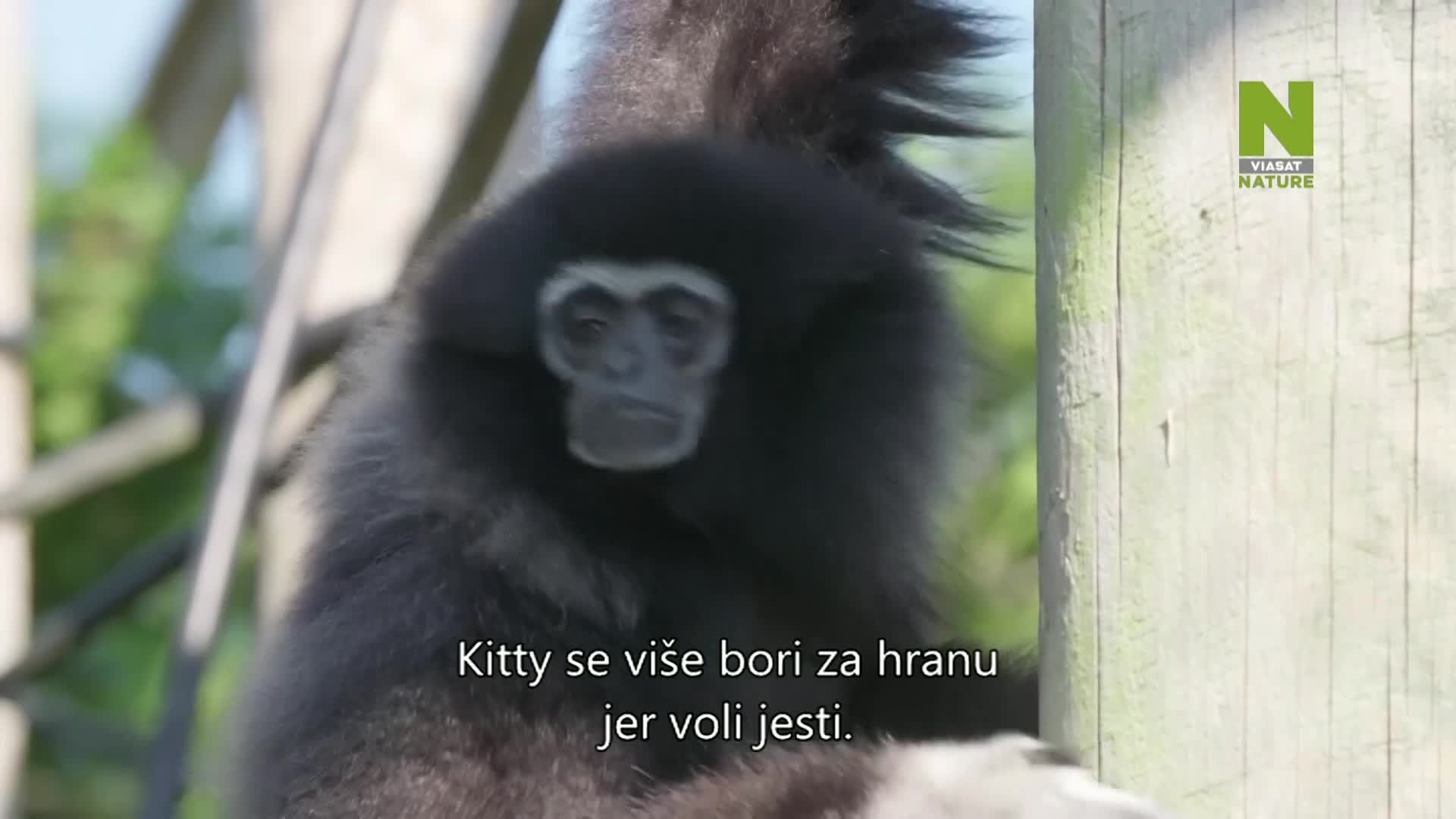 ViasatNature