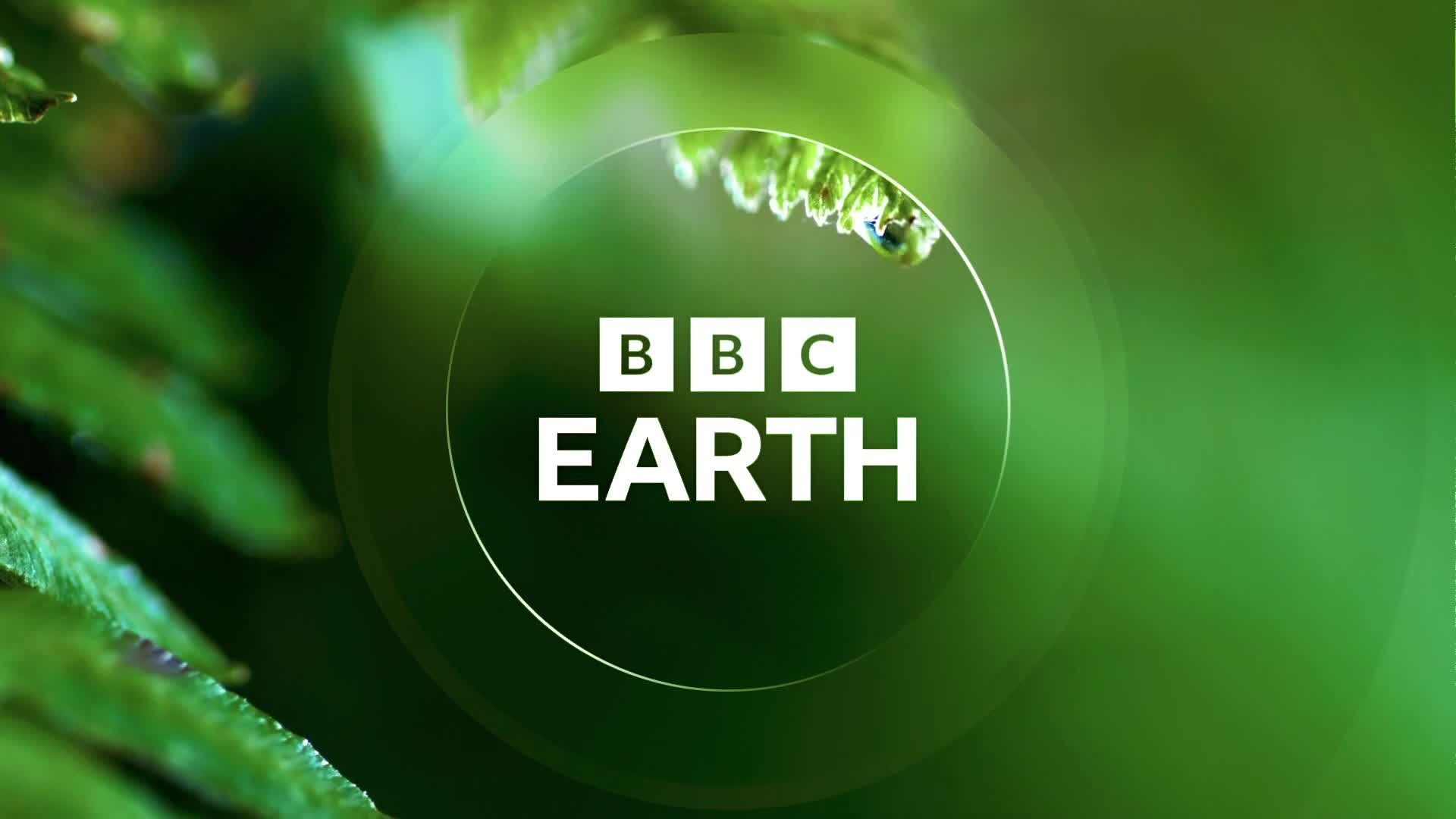 BBCEarth