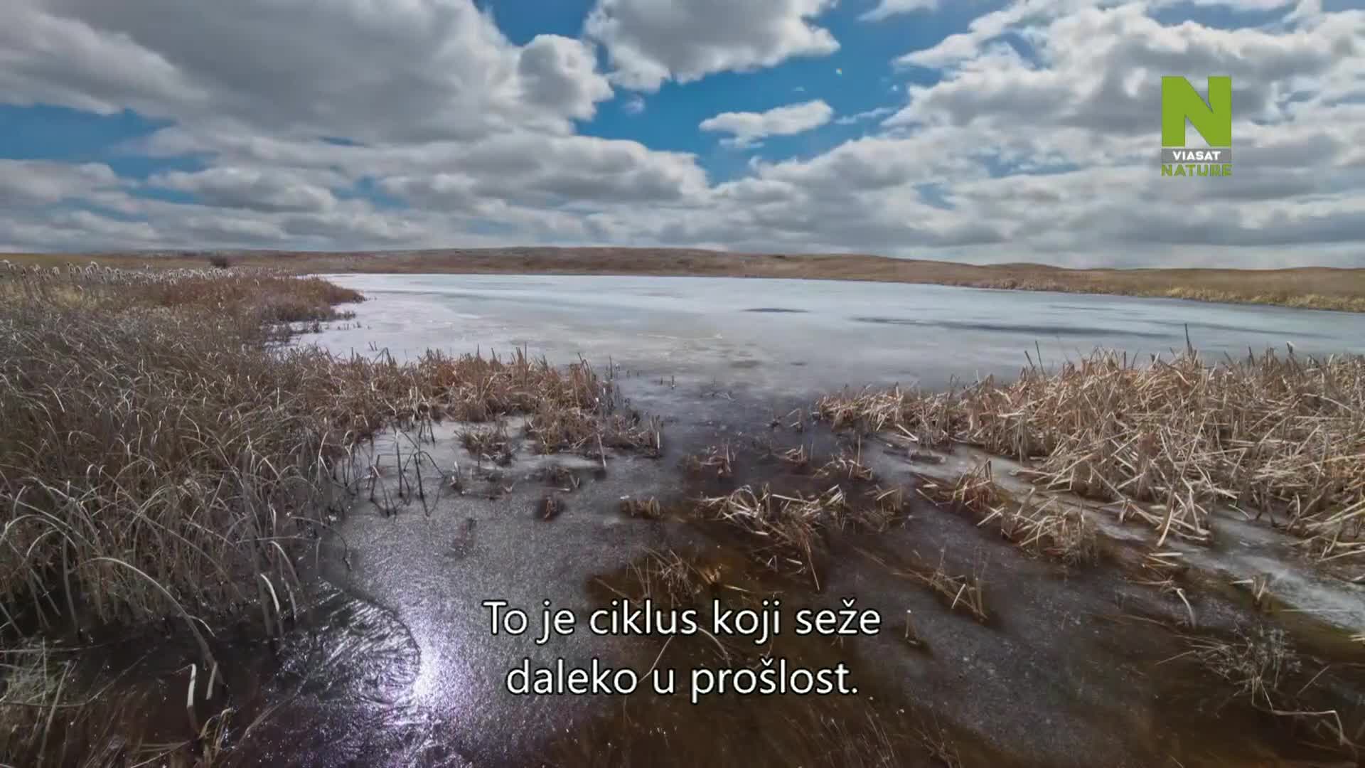 ViasatNature
