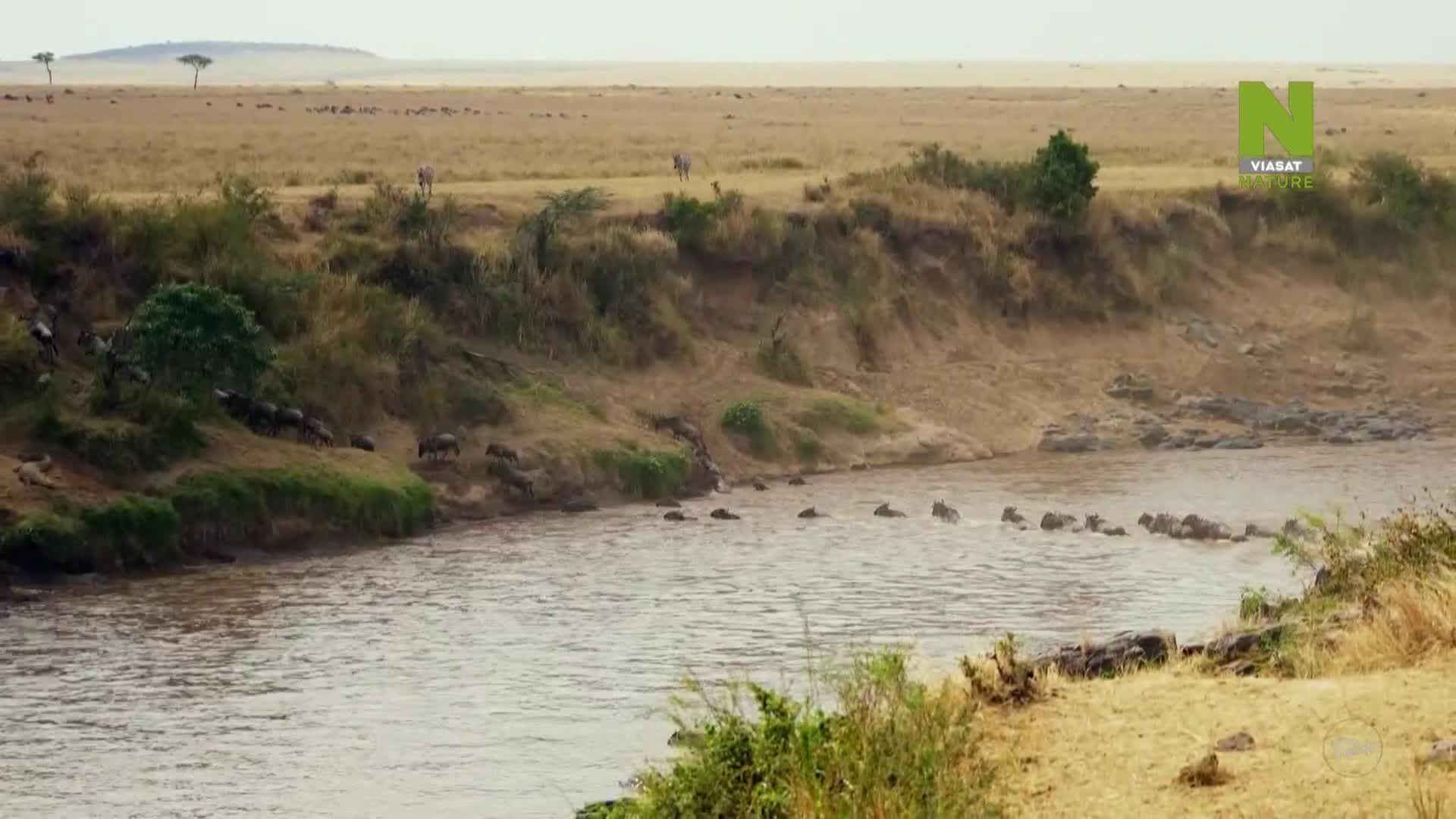 ViasatNature