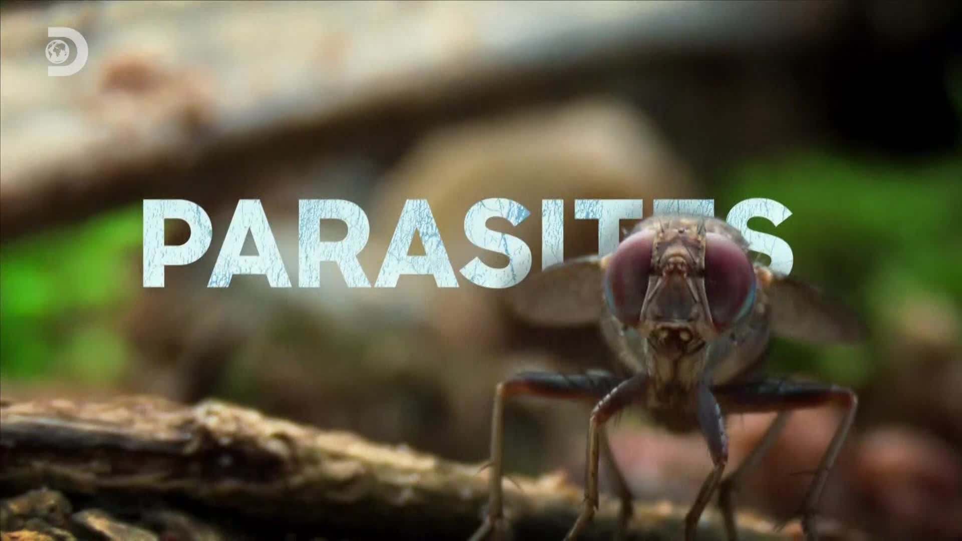 ViasatExplorer