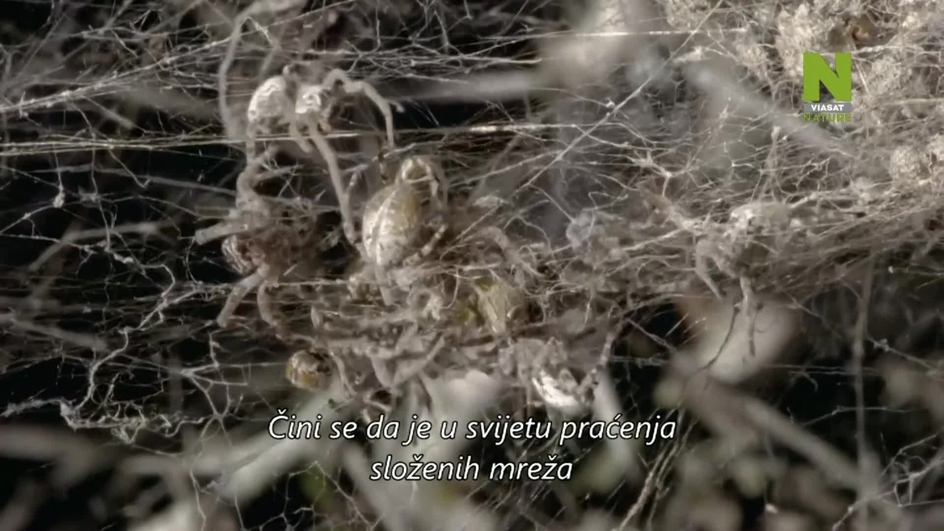 ViasatNature