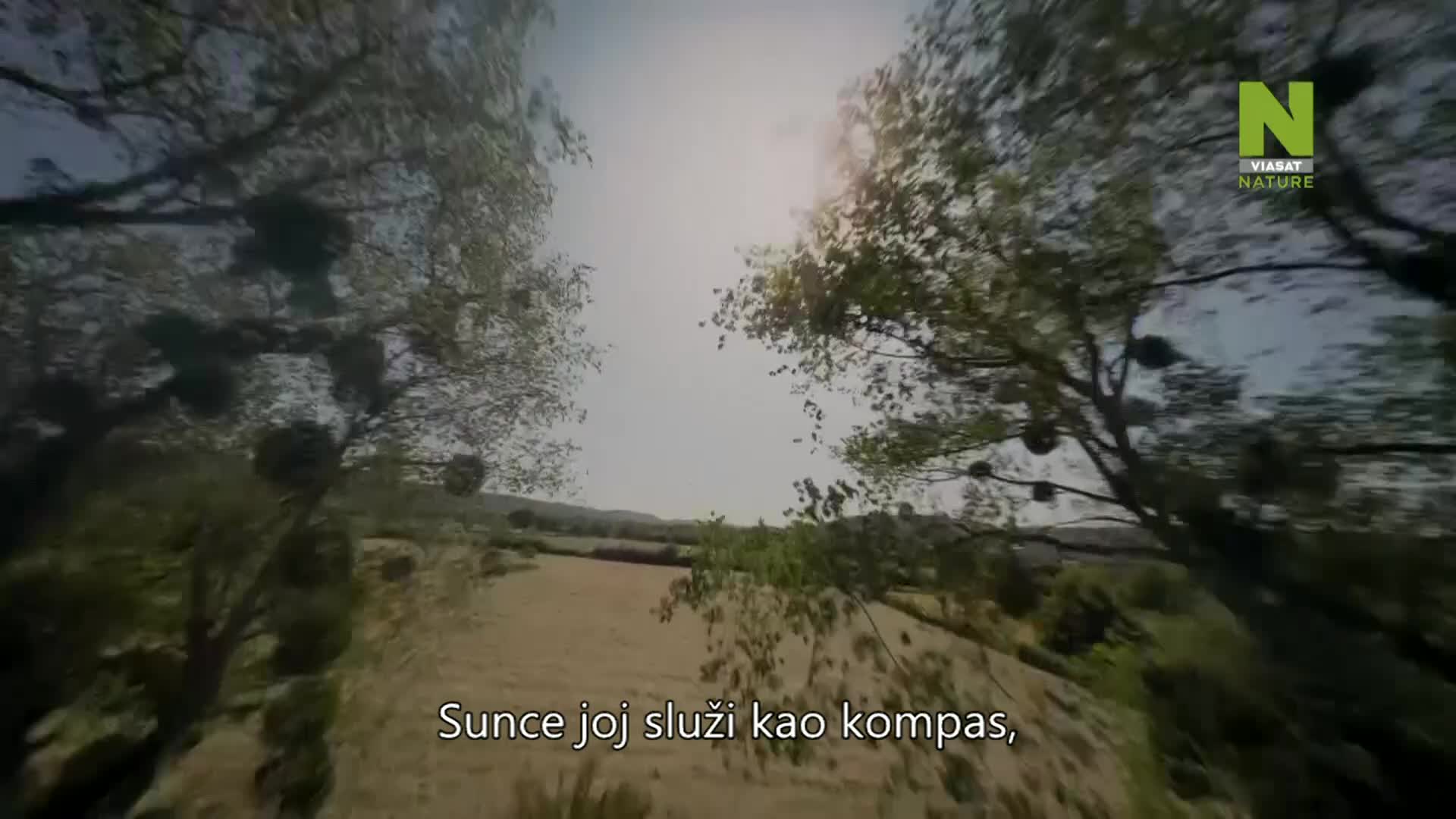 ViasatNature