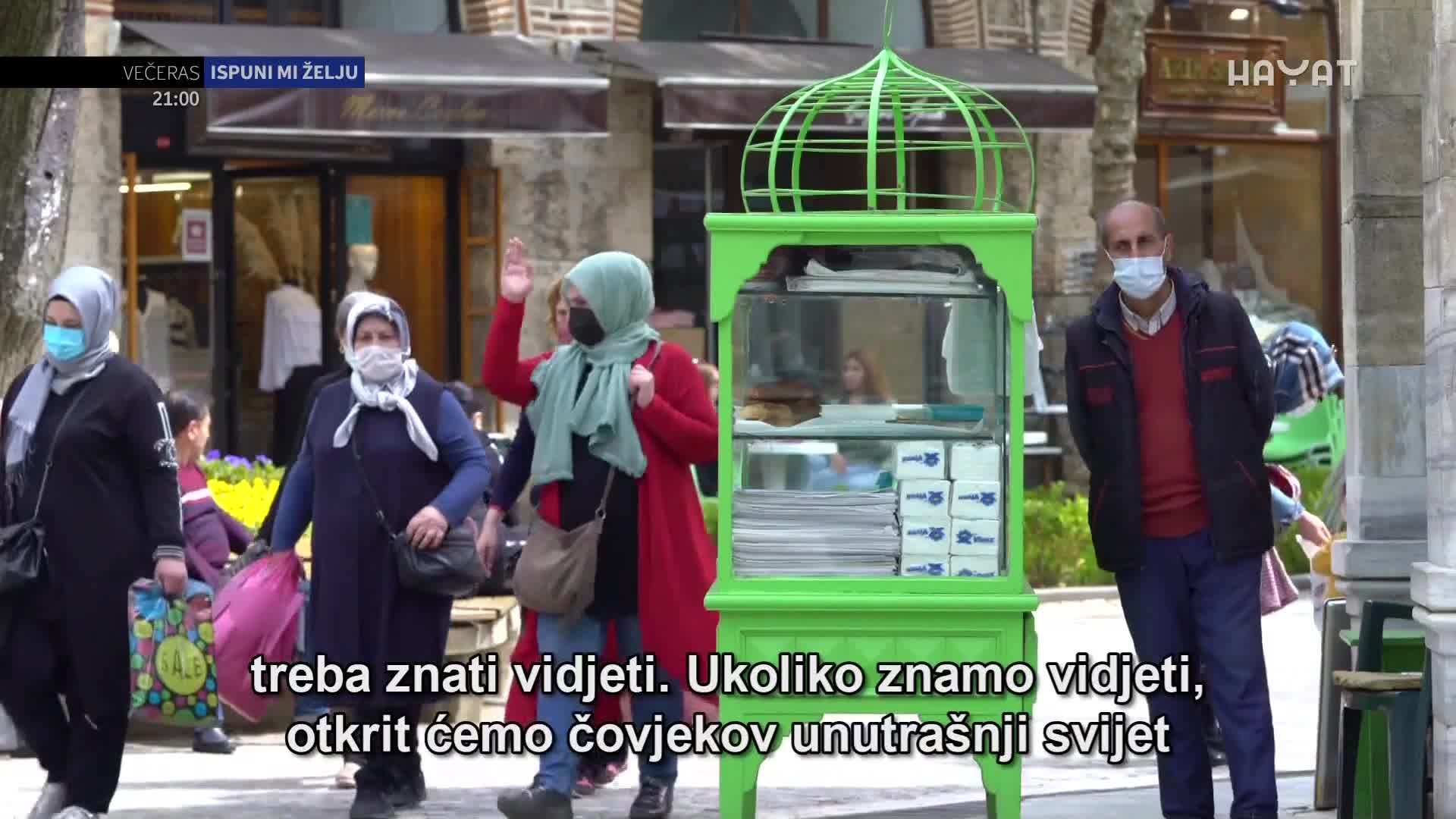 hayat