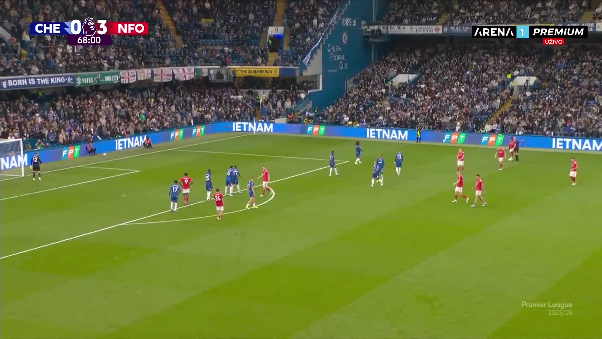 DScience