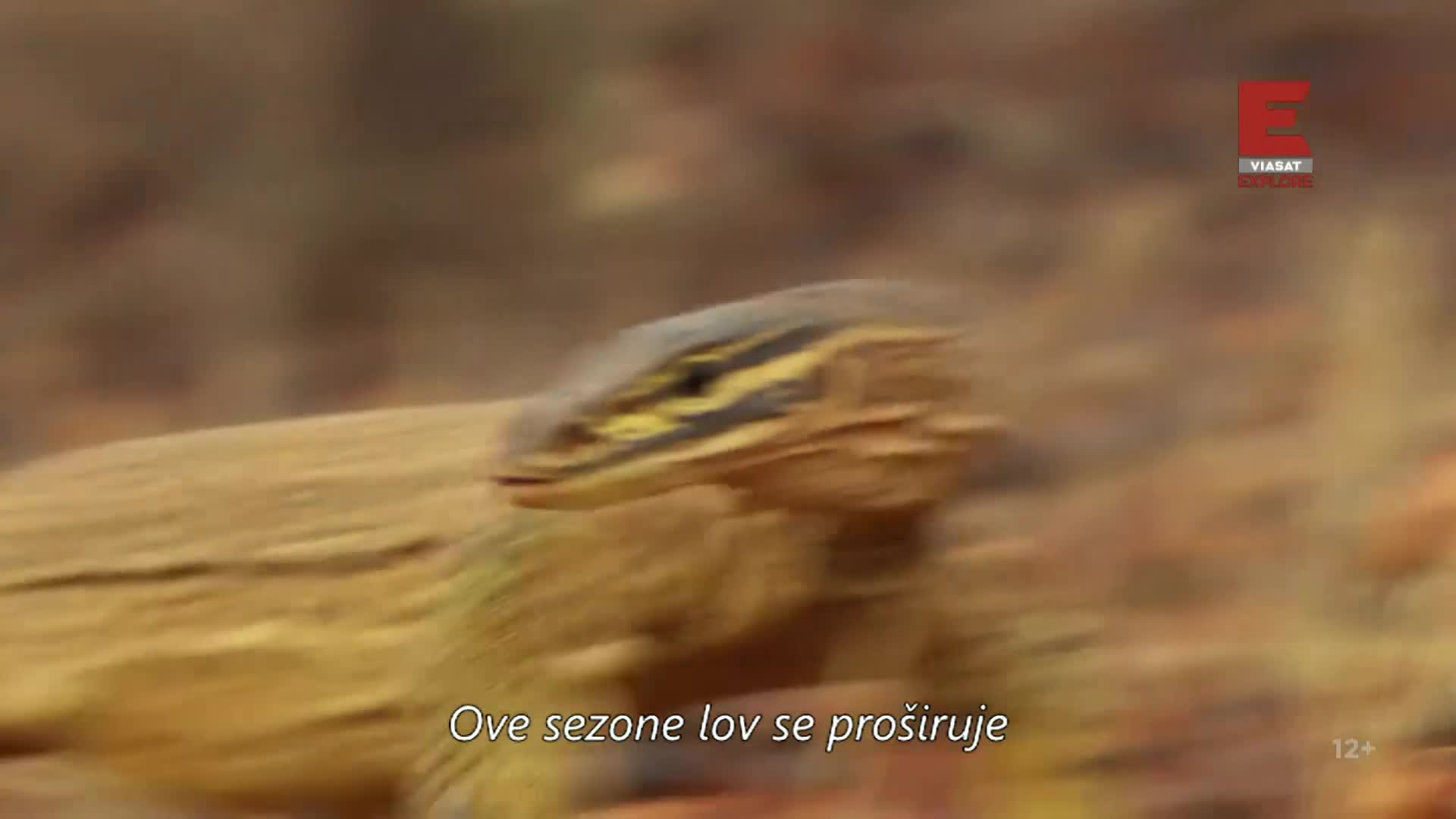 ViasatExplore