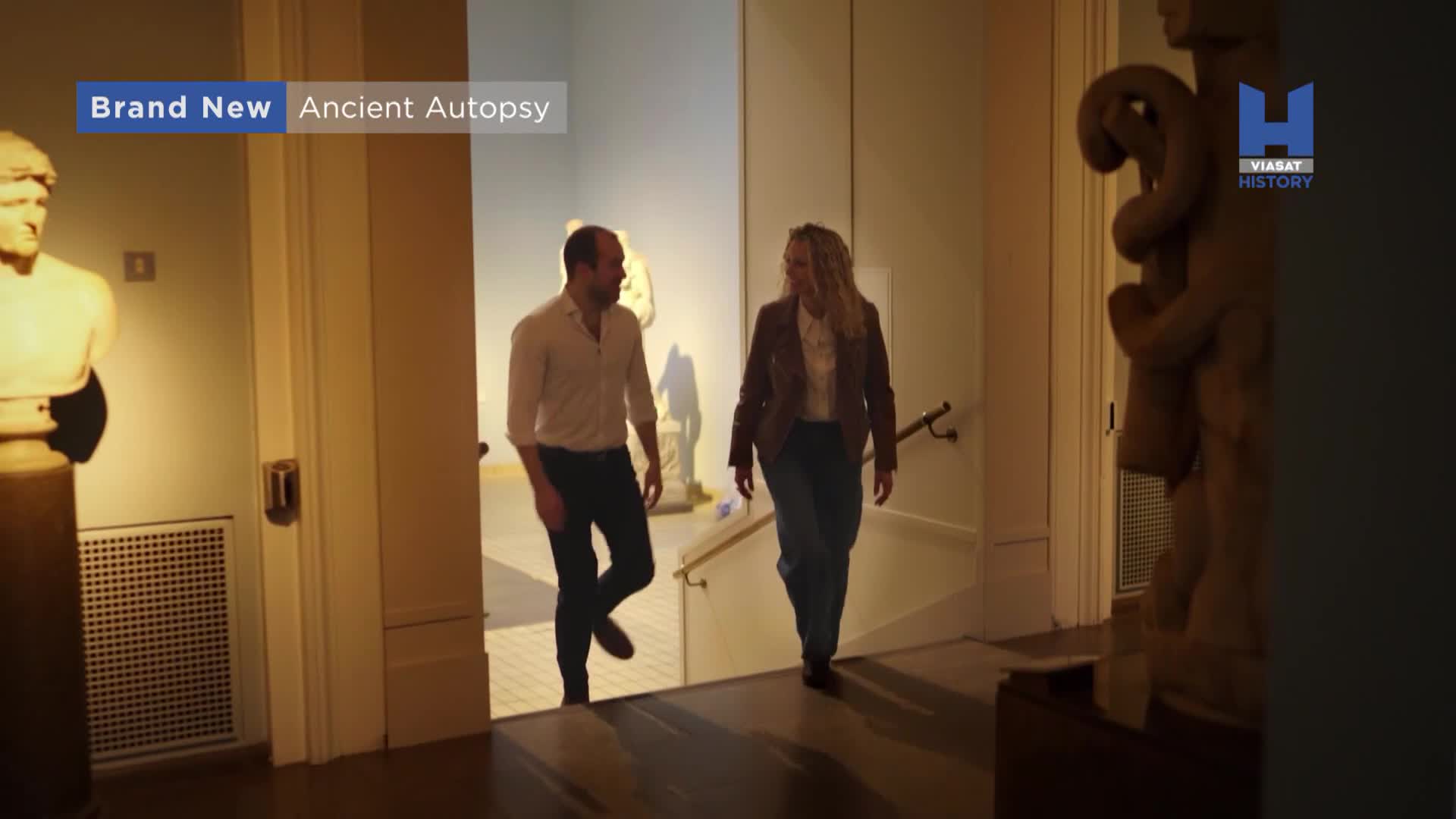 ViasatHistory