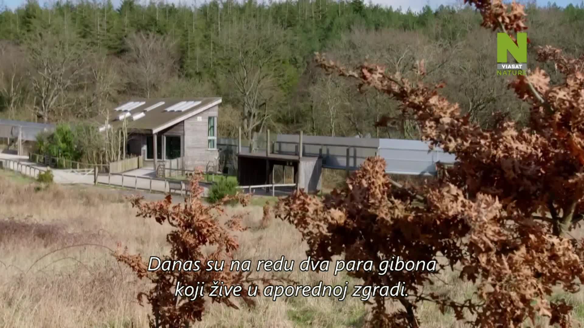 ViasatNature