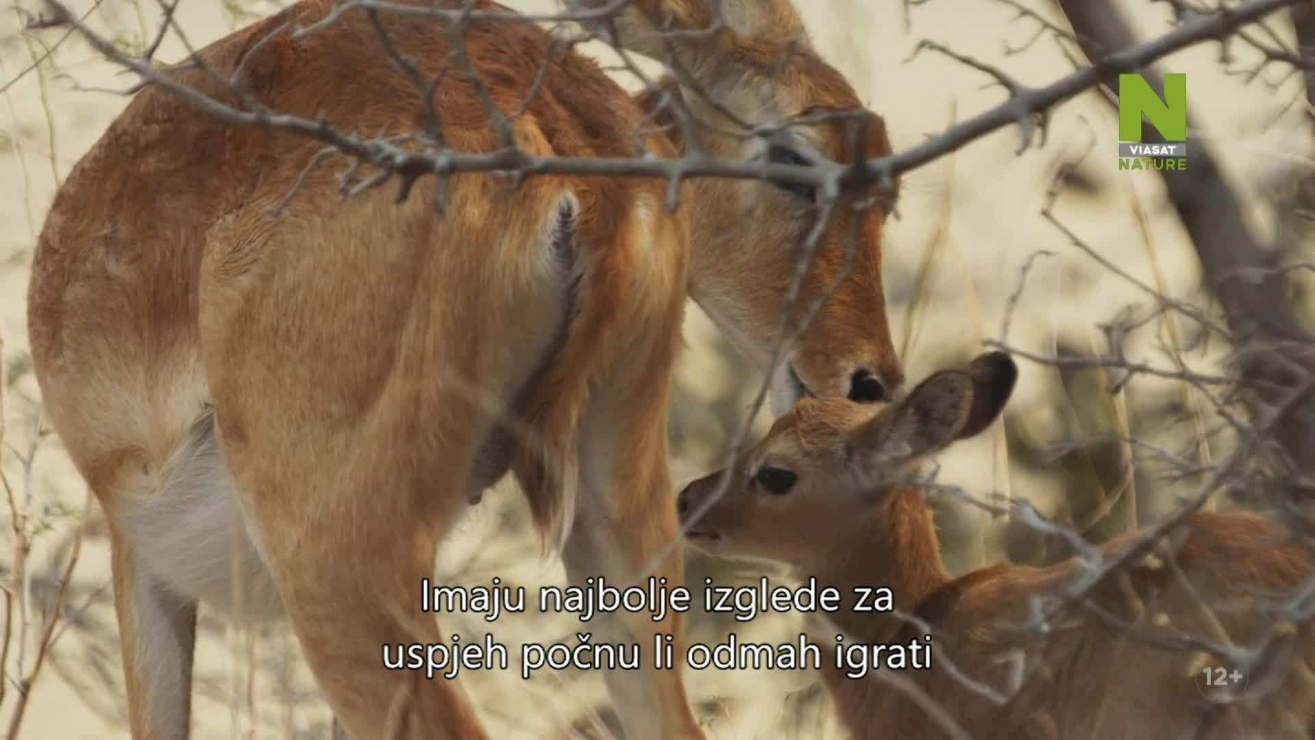 ViasatNature