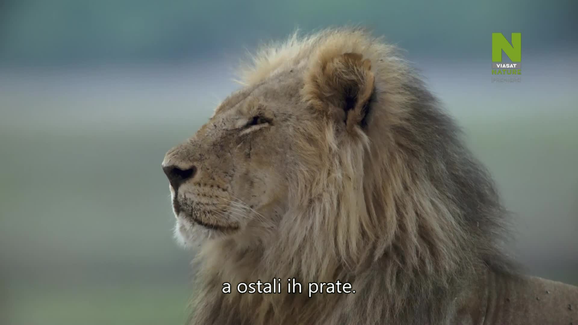 ViasatNature