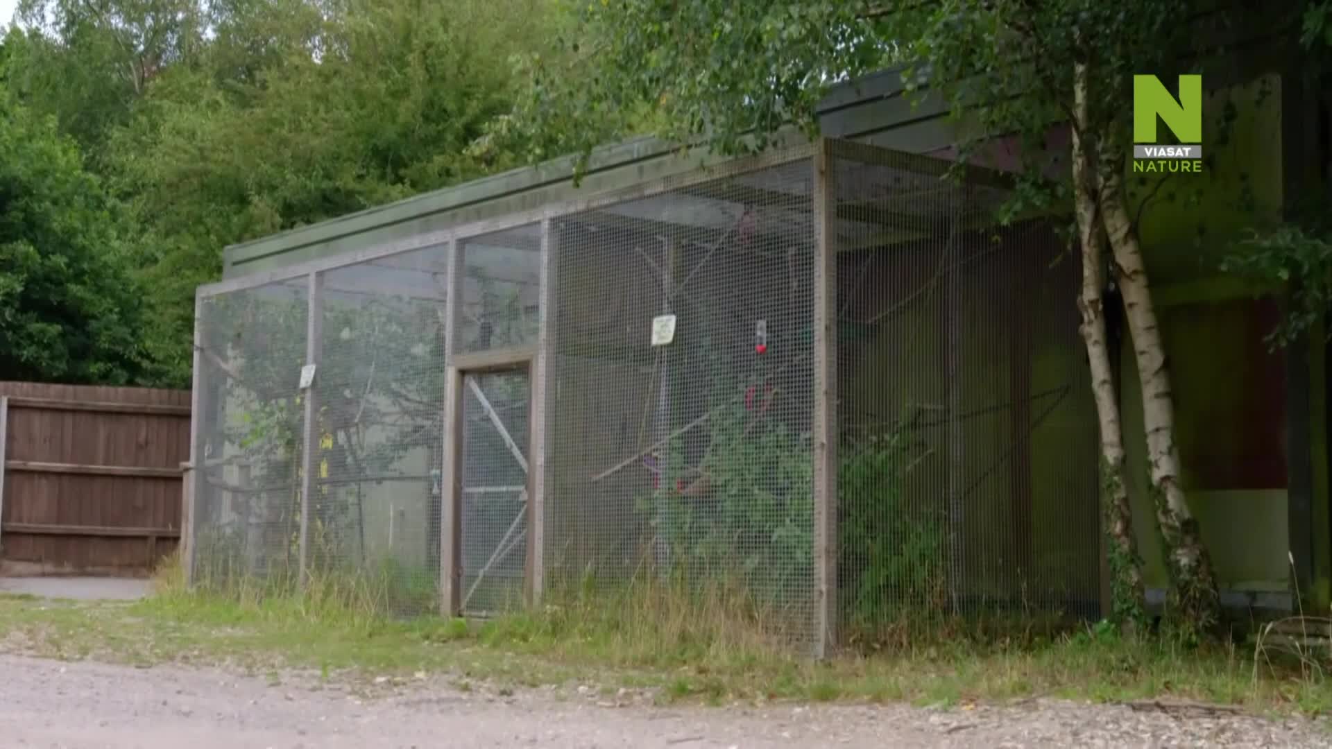 ViasatNature