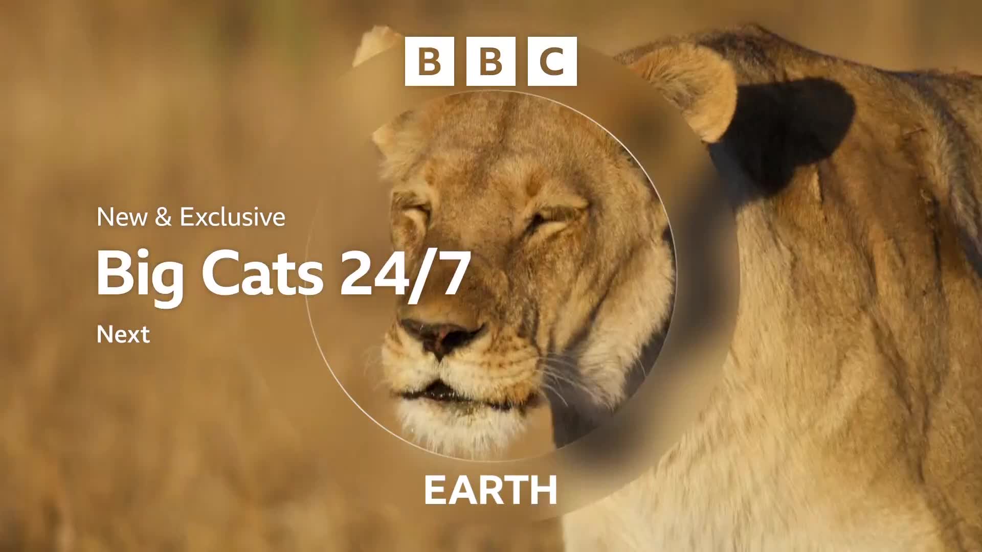 BBCEarth