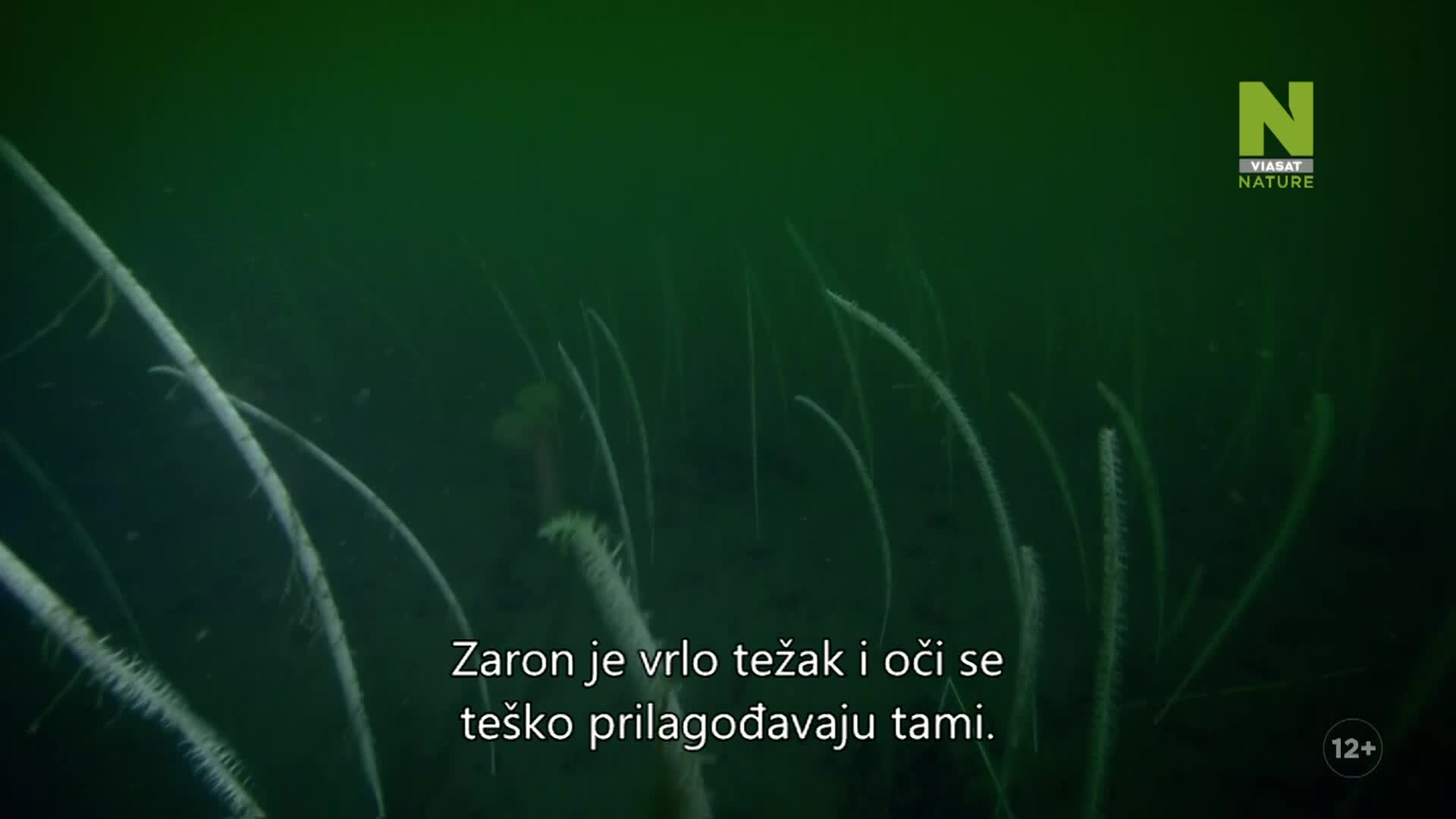 ViasatNature