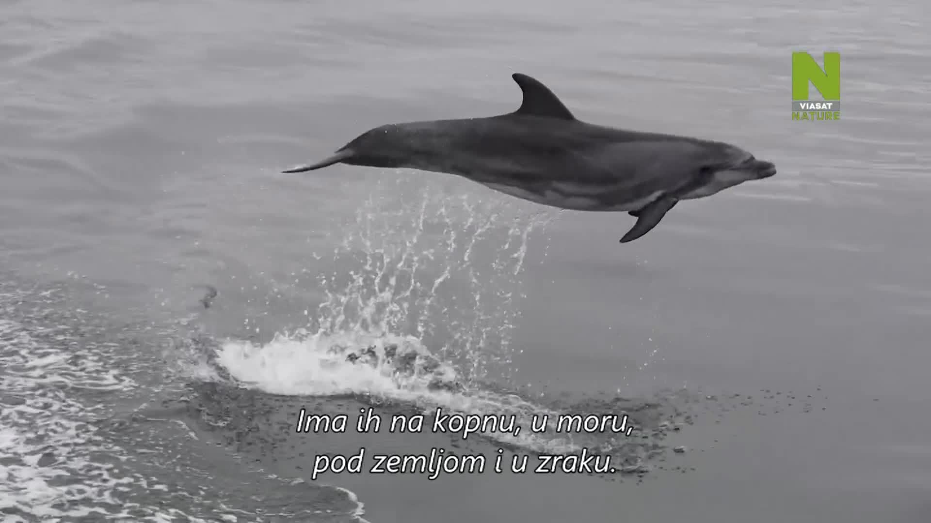 ViasatNature