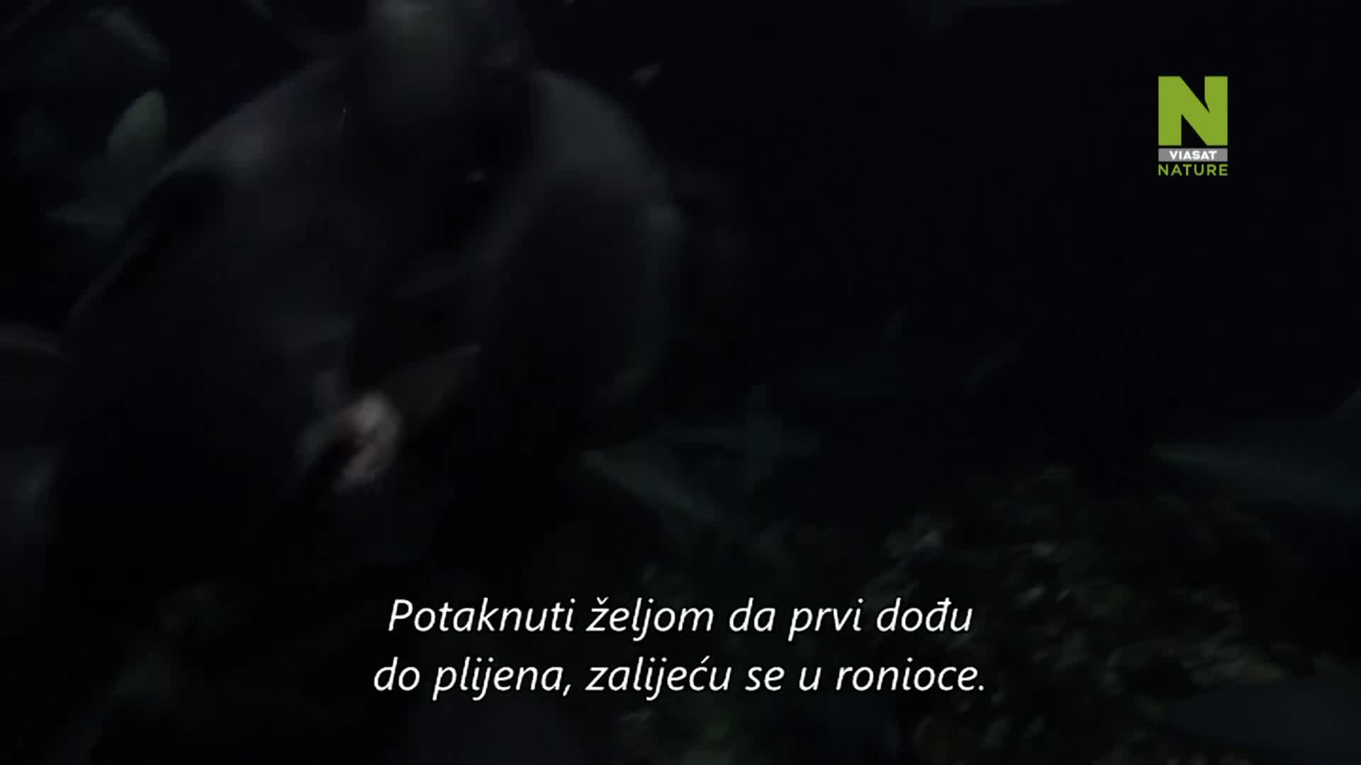 ViasatNature
