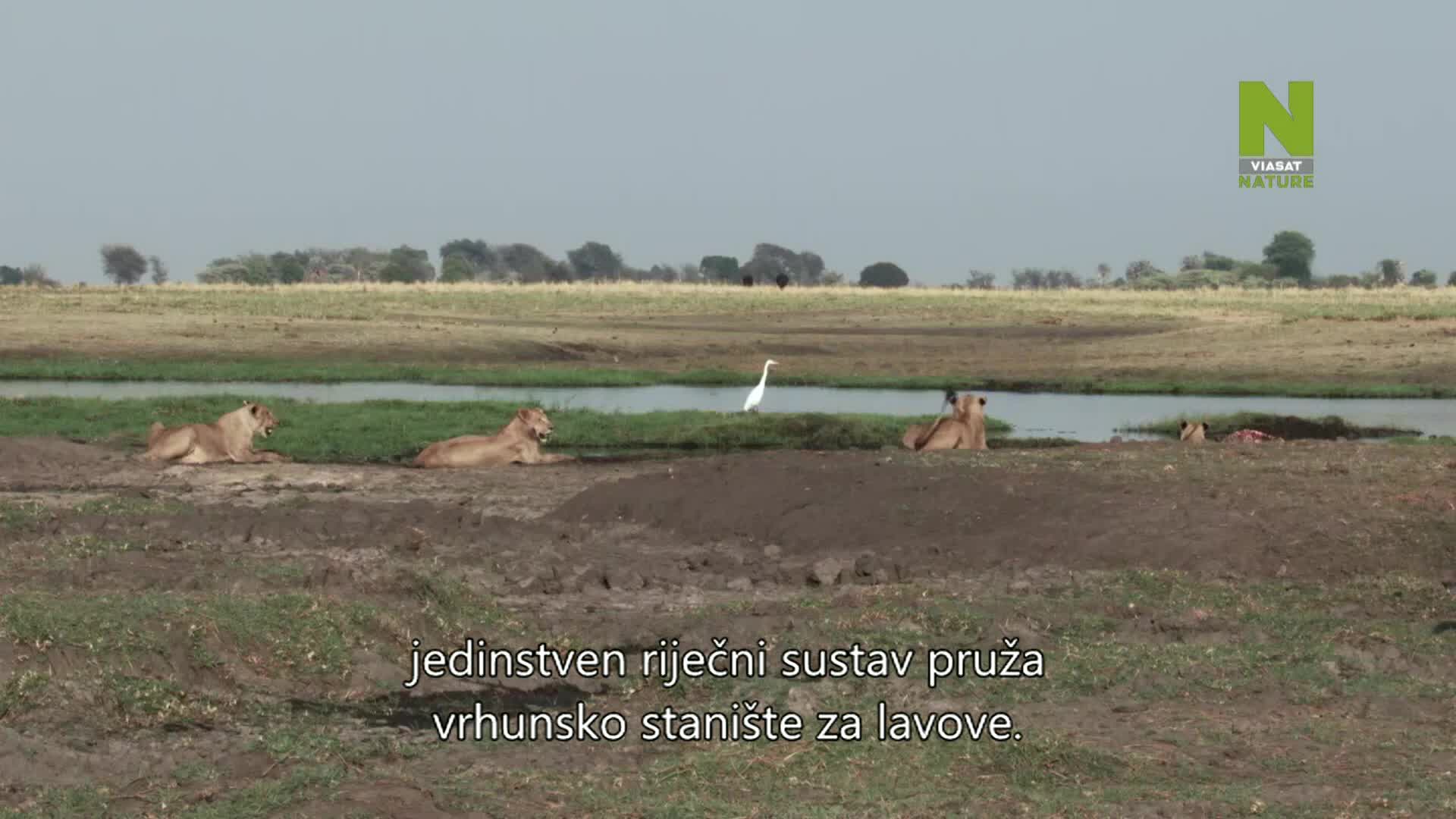 ViasatNature
