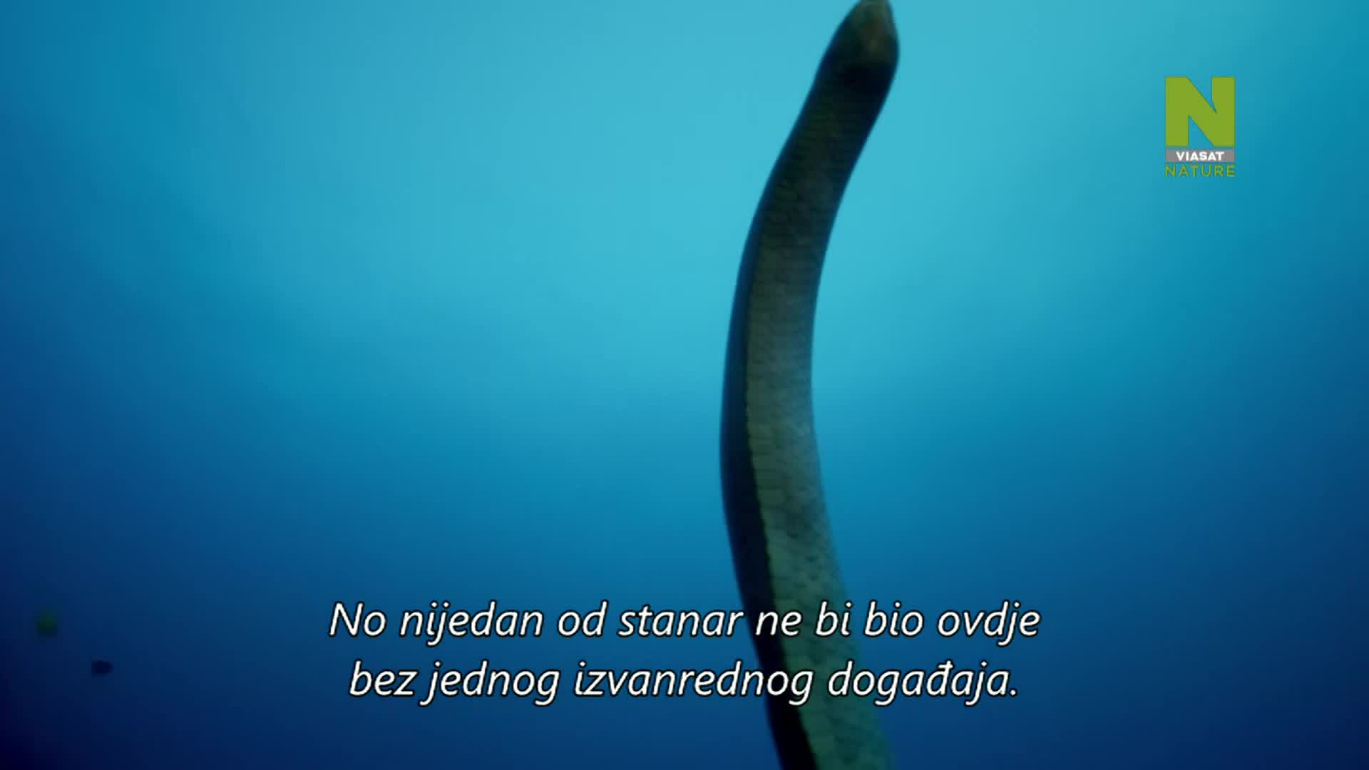 ViasatNature