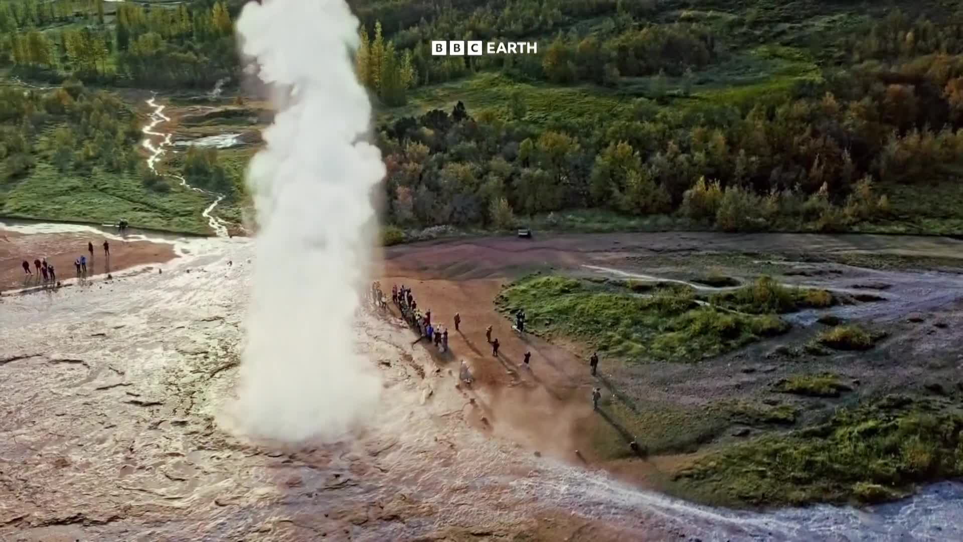 BBCEarth