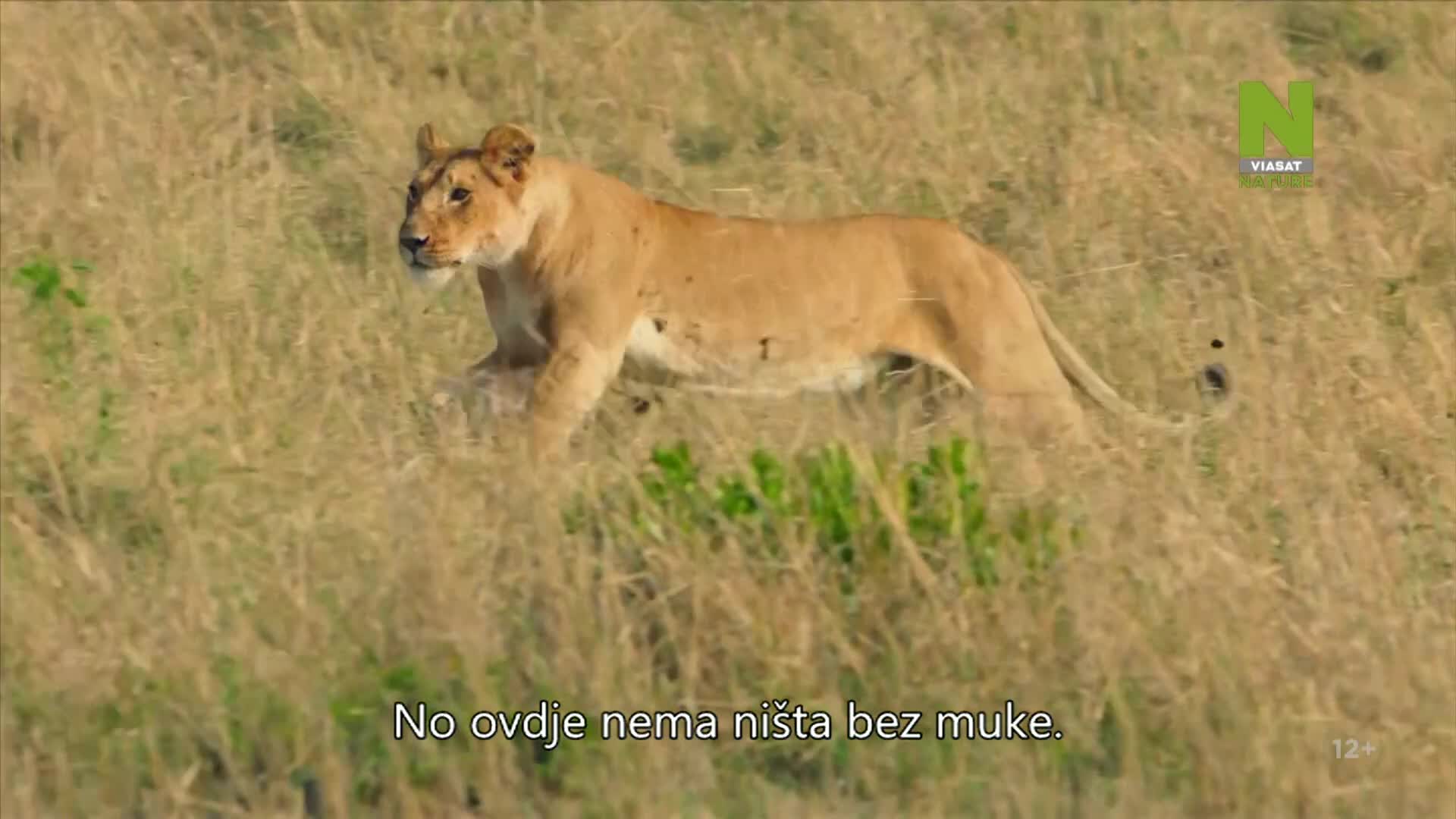 ViasatNature