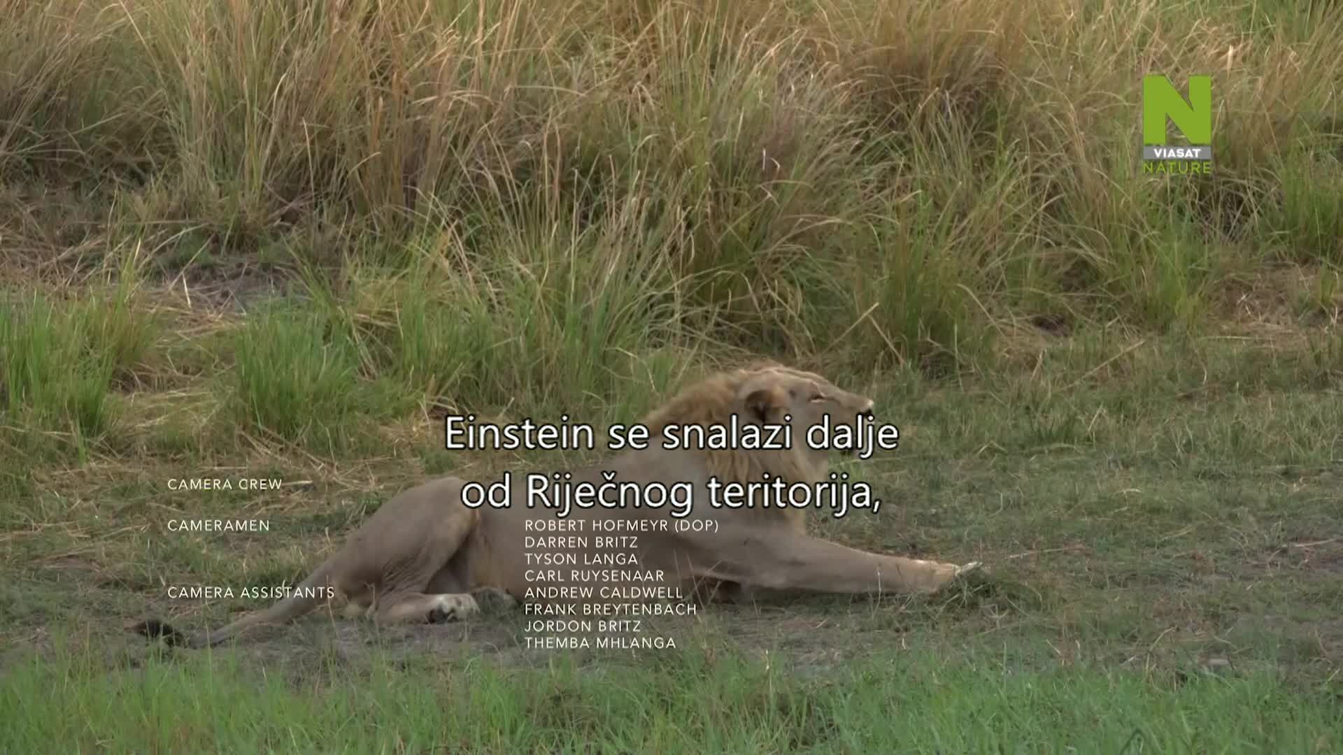 ViasatNature