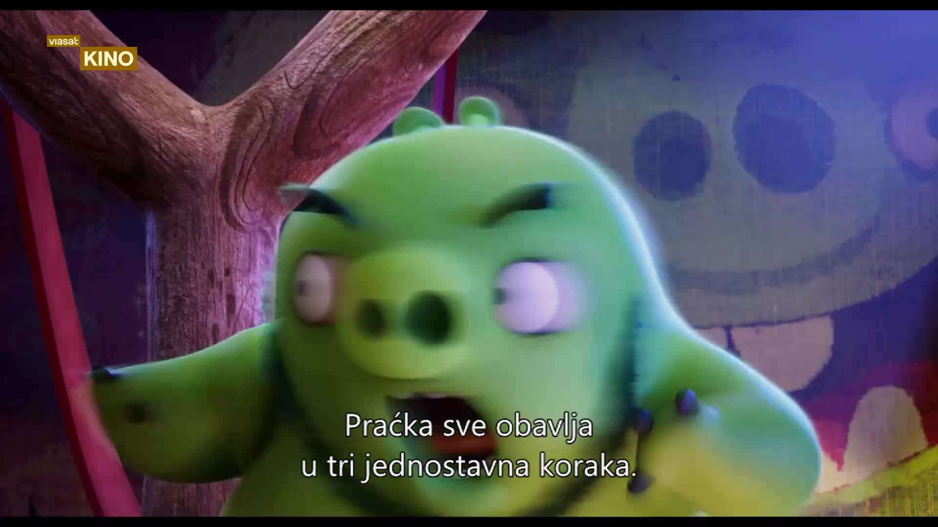 TV1000