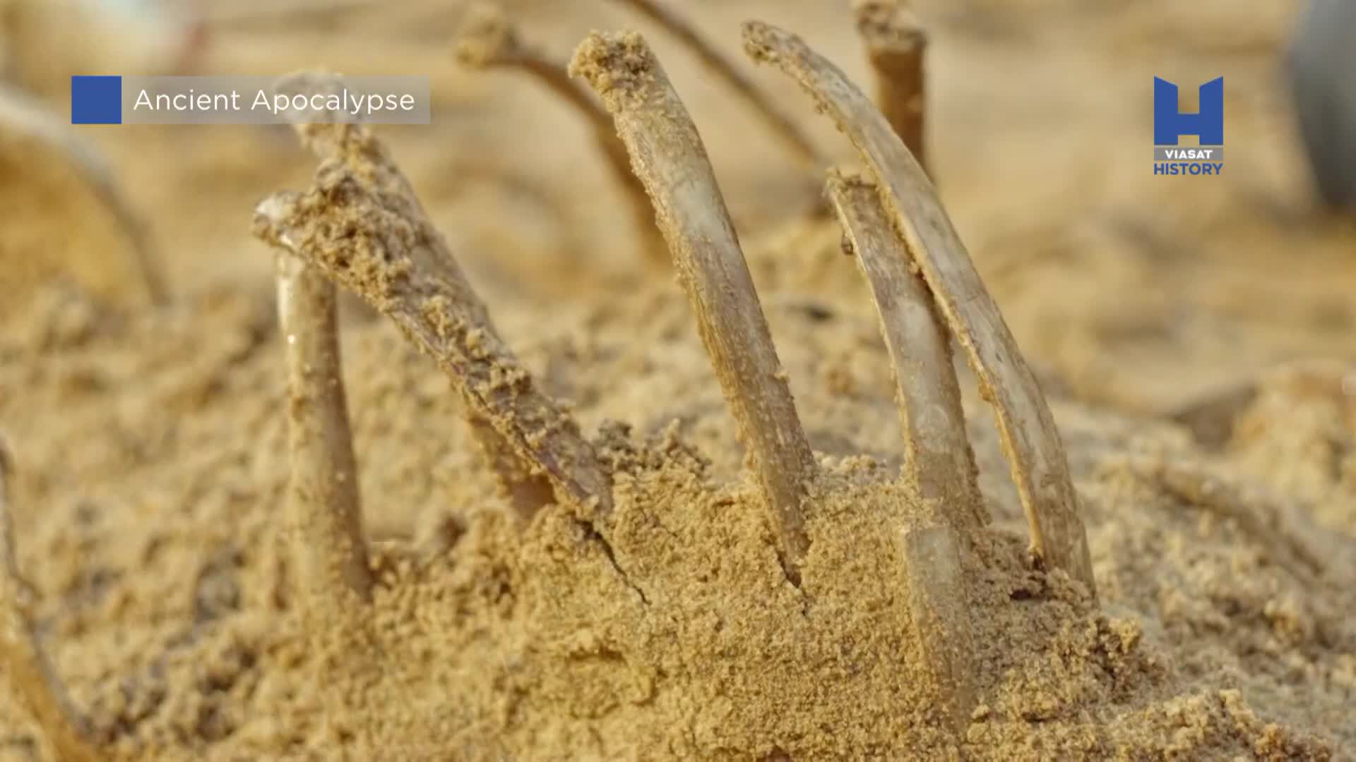 ViasatHistory