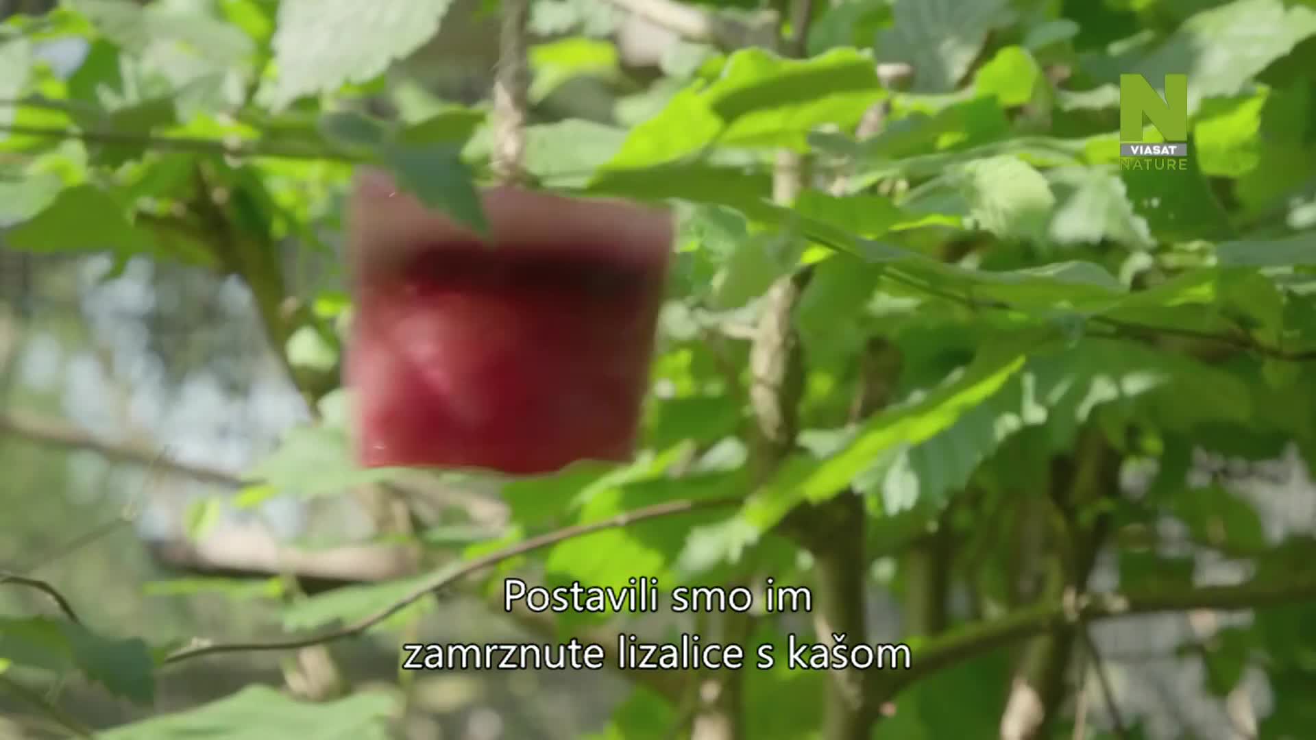 ViasatNature