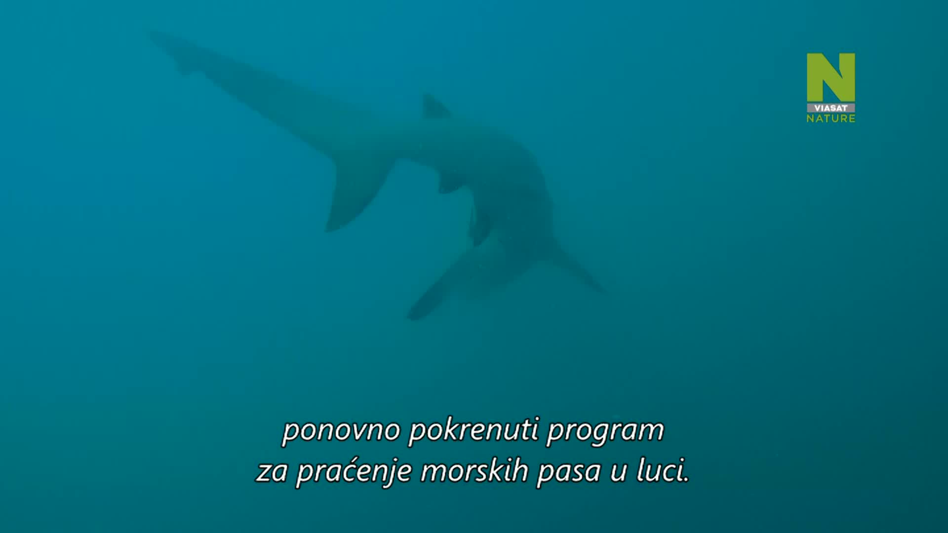ViasatNature
