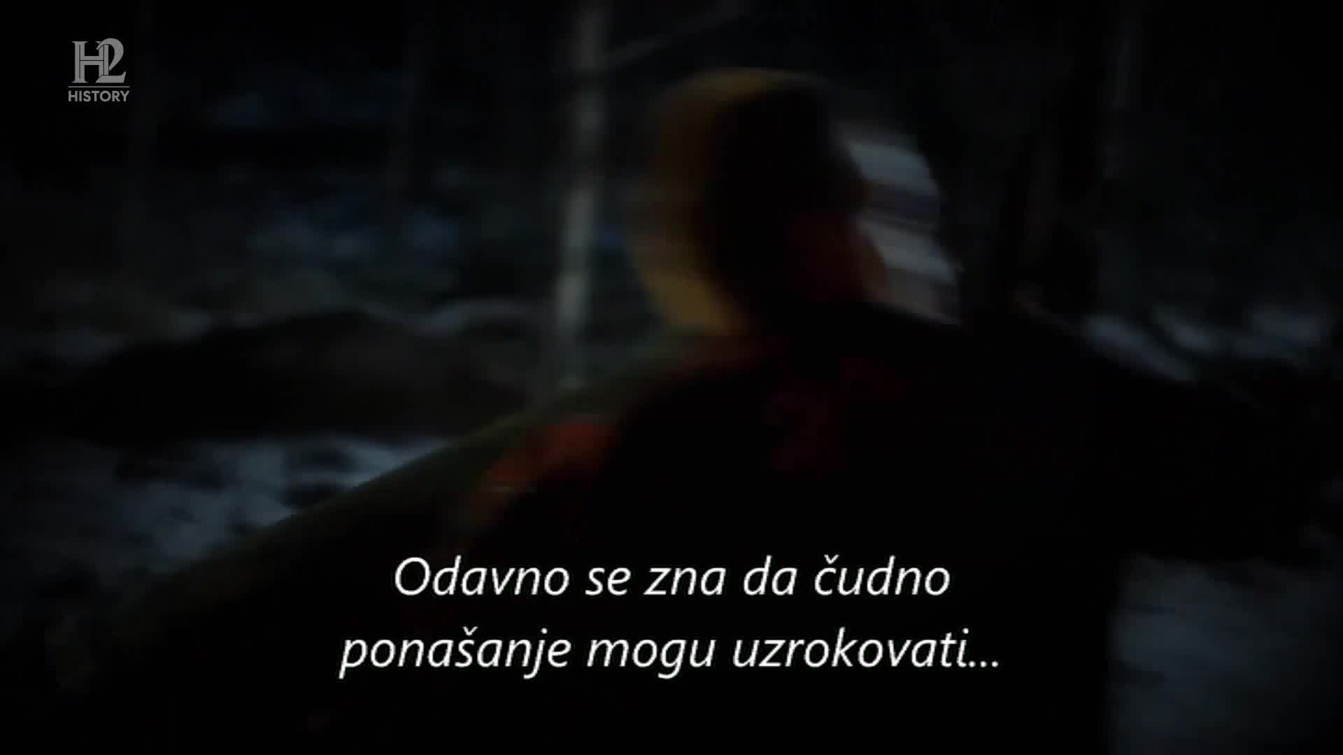 History2