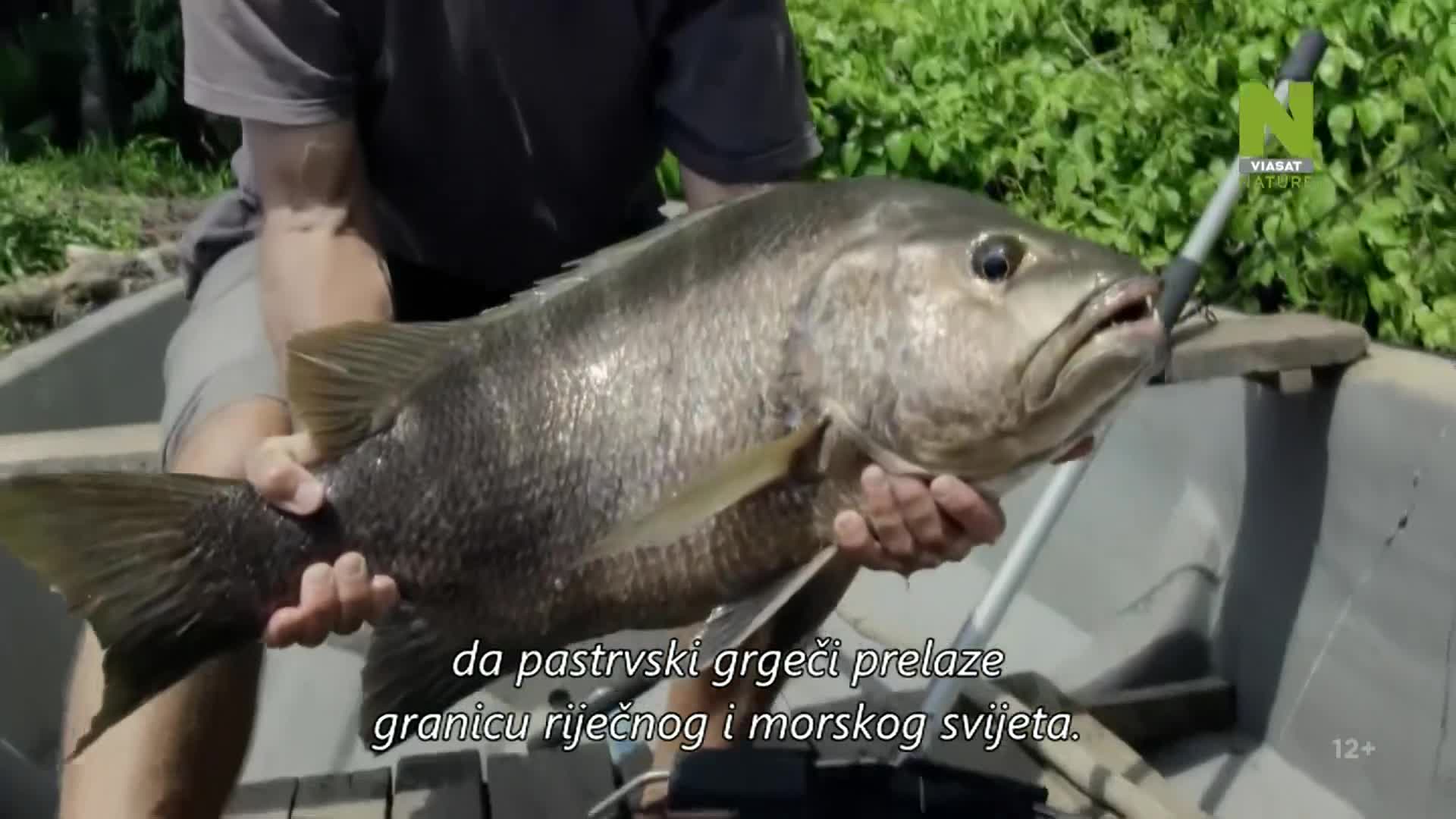 ViasatNature