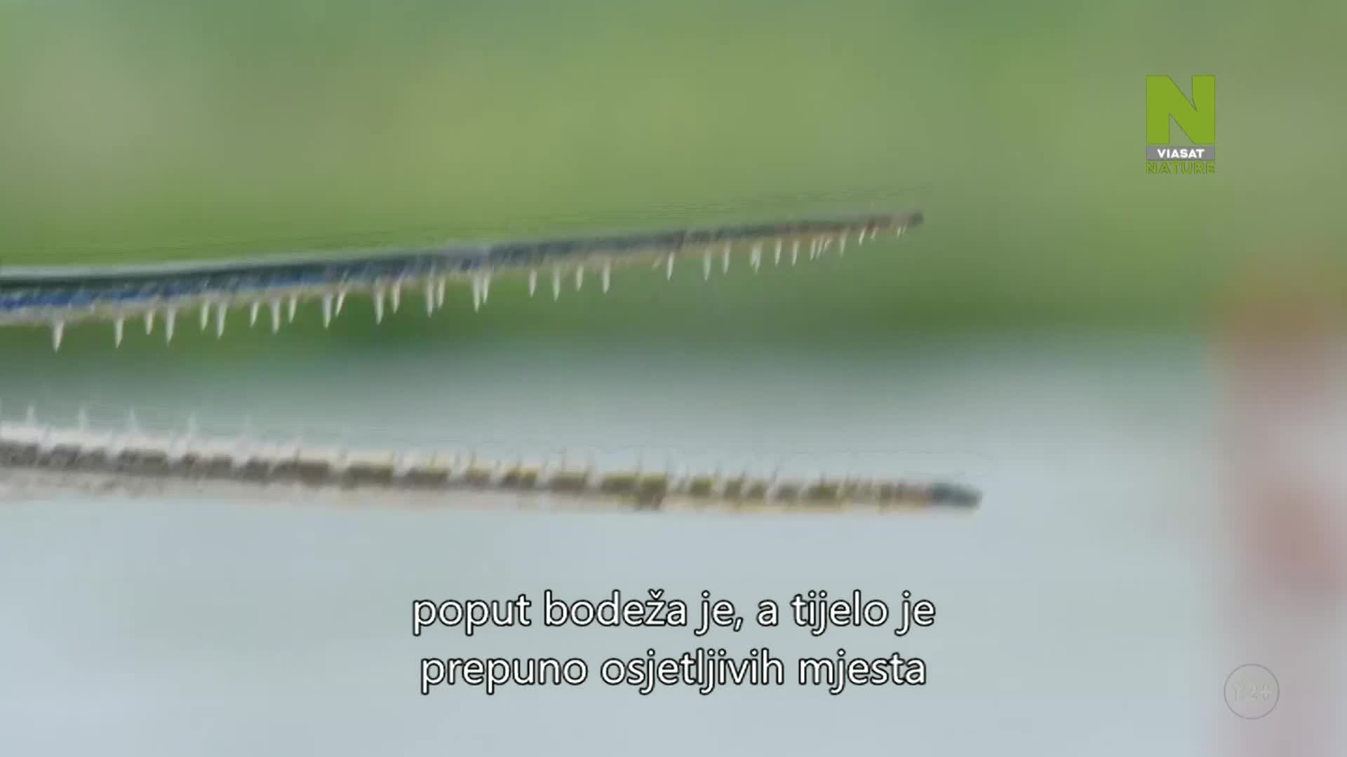 ViasatNature