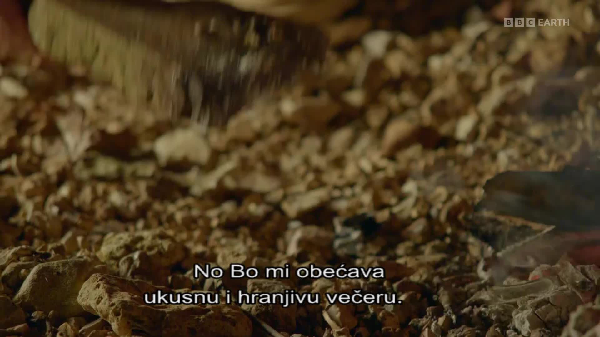 BBCEarth